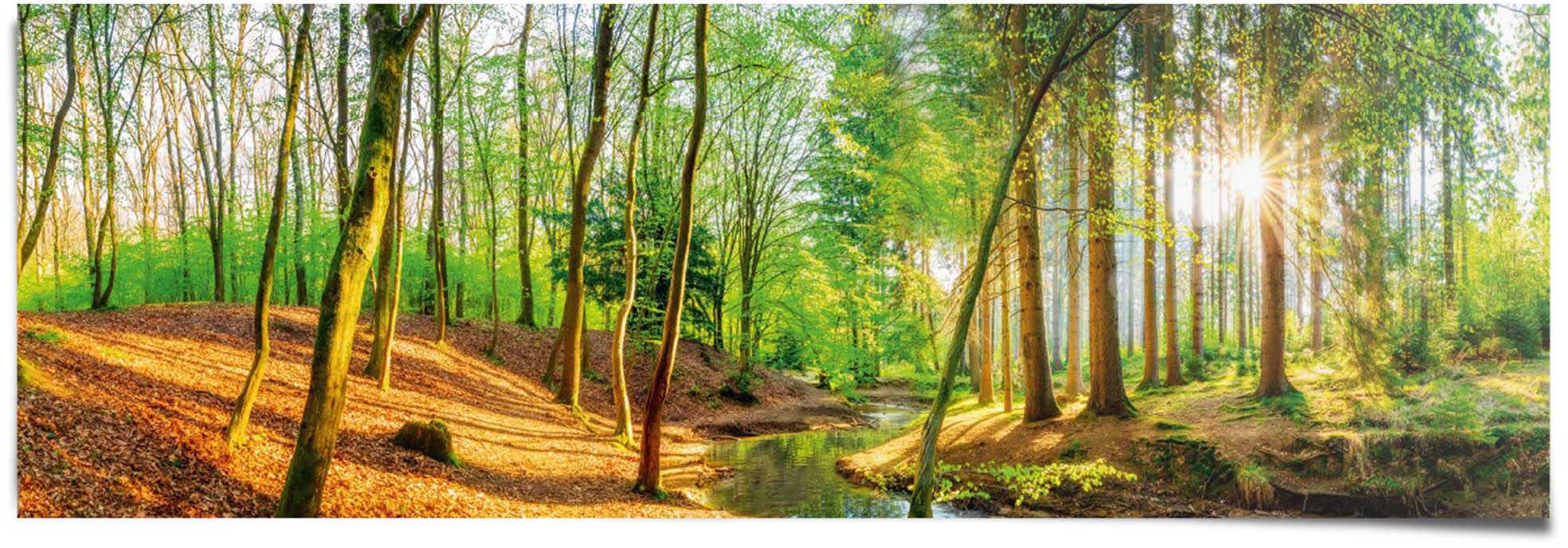 Reinders Poster "Sonniger Wald" günstig online kaufen
