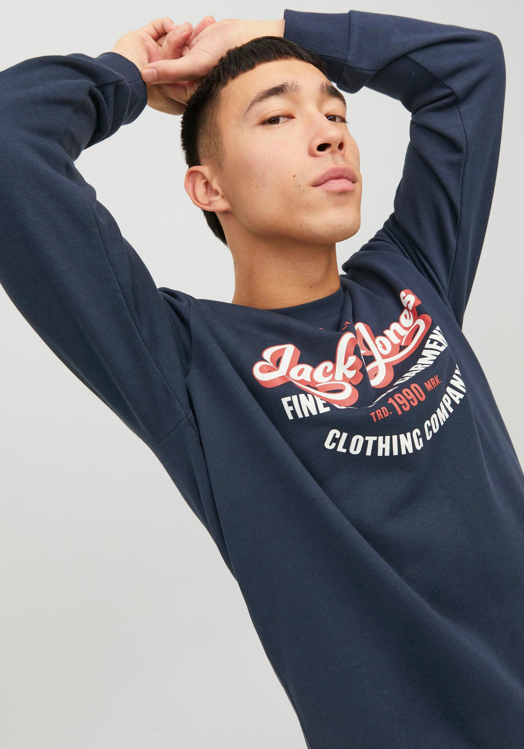 Jack & Jones Sweatshirt »JJ JJANDY SWEAT CREW NECK«
