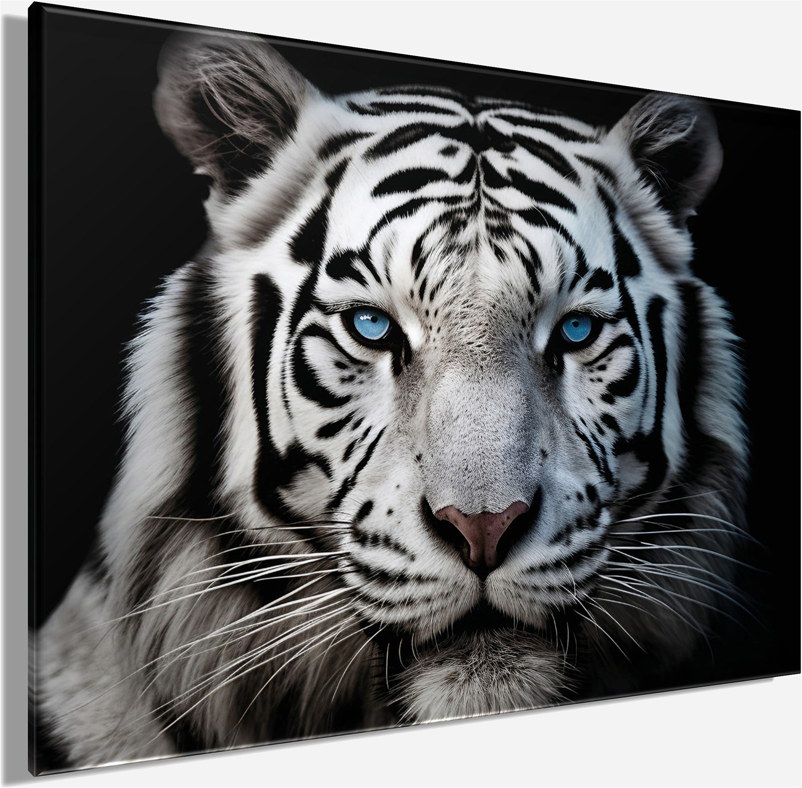 Bönninghoff Leinwandbild »Wandbild WEISSER TIGER 46x61 cm – Leinwandbild Keilrahmen Deko modern« Raubkatzen | Tiere | Tiger | Wildtiere 1 Stk. tlg. auf Keilrahmen gespannt