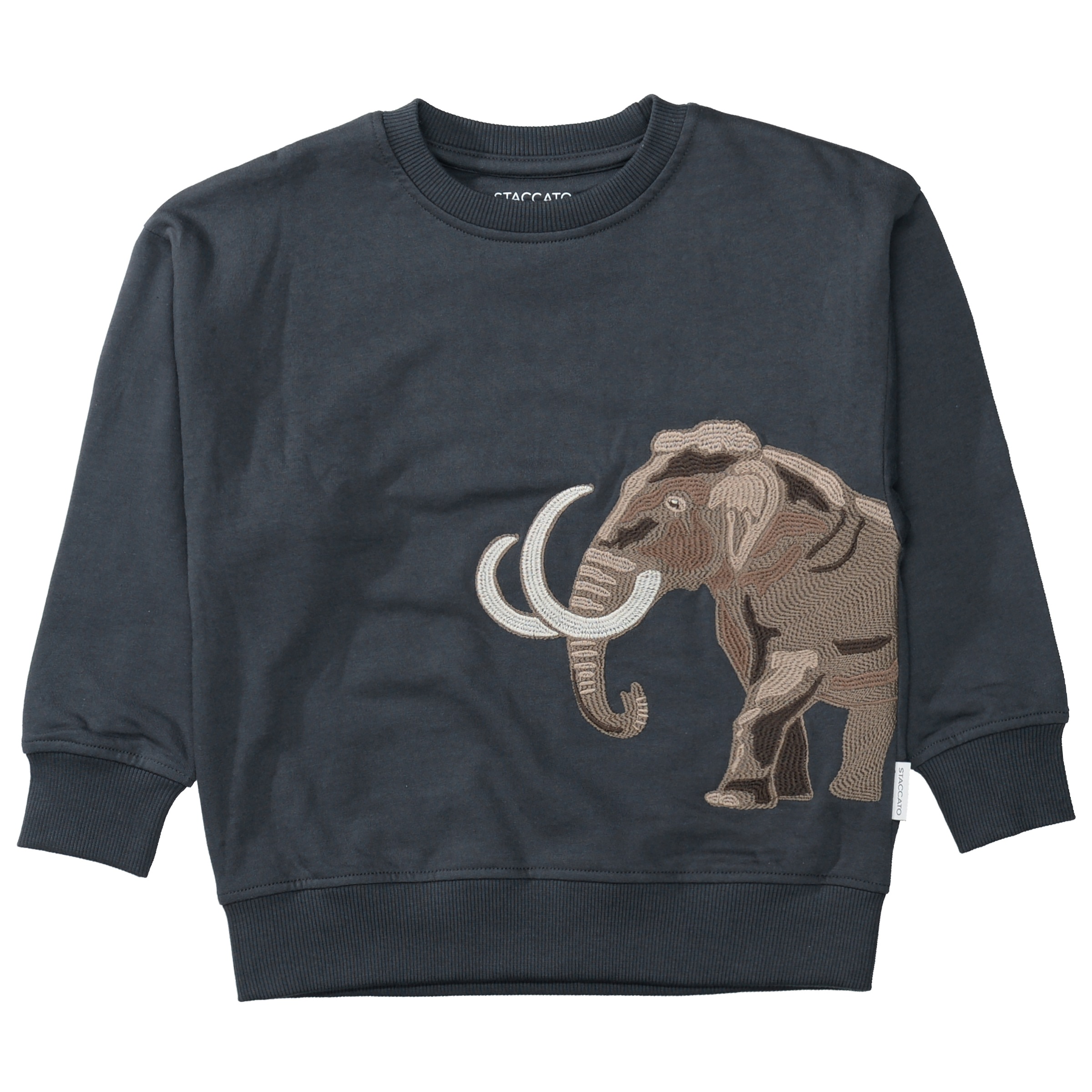 STACCATO Sweater , 2er Pack Sweater / bedruckt / für Boys

