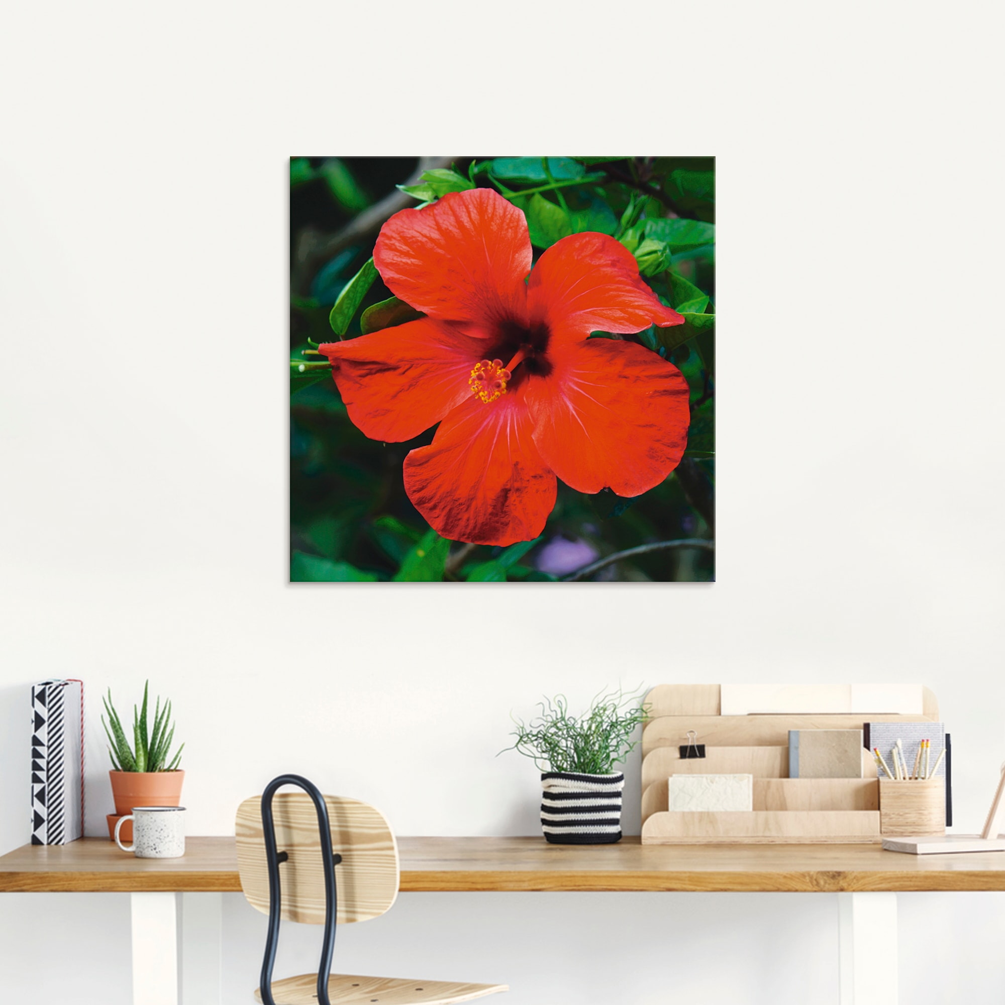 Artland Glasbild »Hawaiiblume«, Blumen, (1 St.), in verschiedenen Größen
