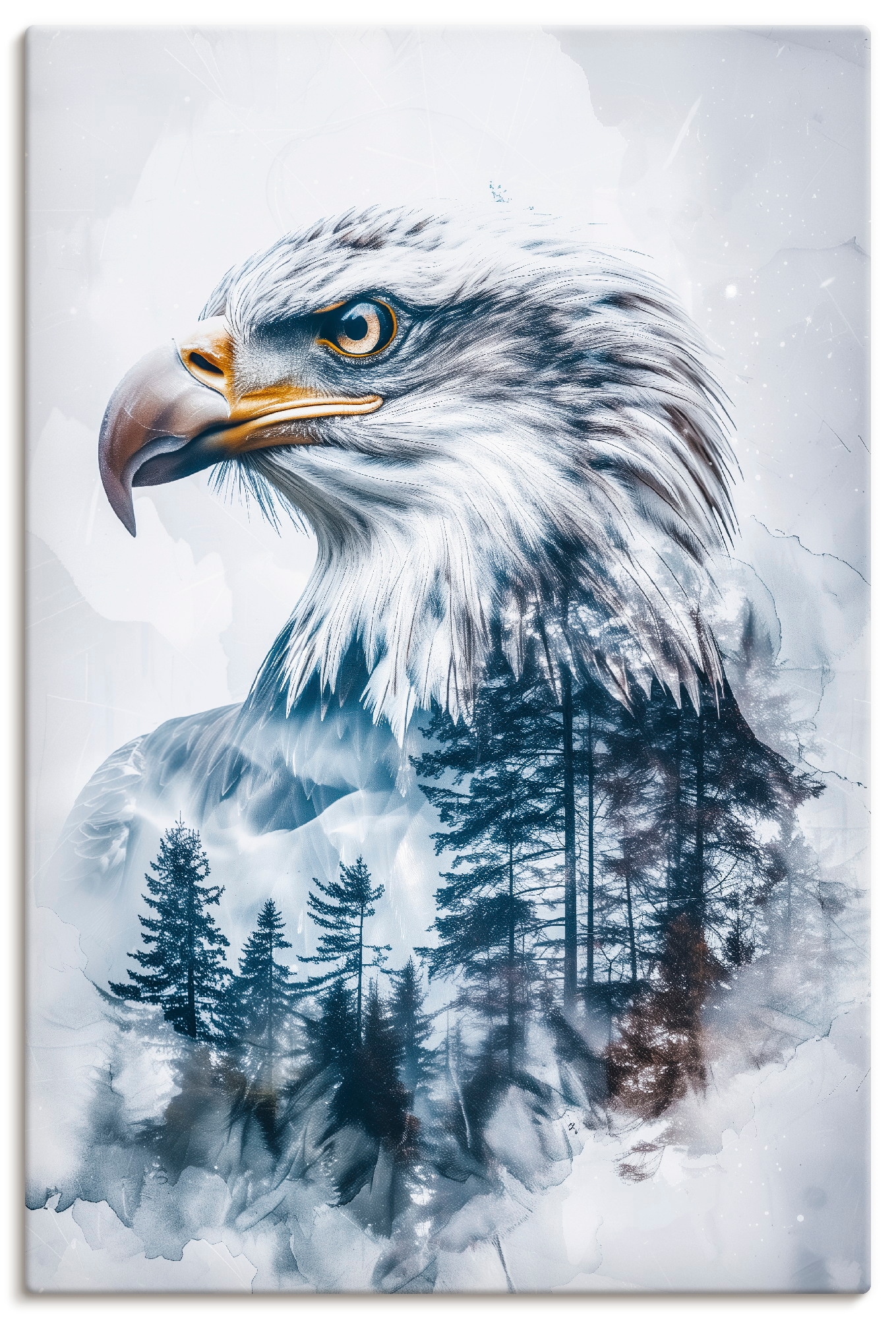 Artland "Weißkopfadler" Vogelbilder 1 Stk. tlg. als Alubild, Leinwandbild, Poster, Wandaufkleber in verschied. Größen