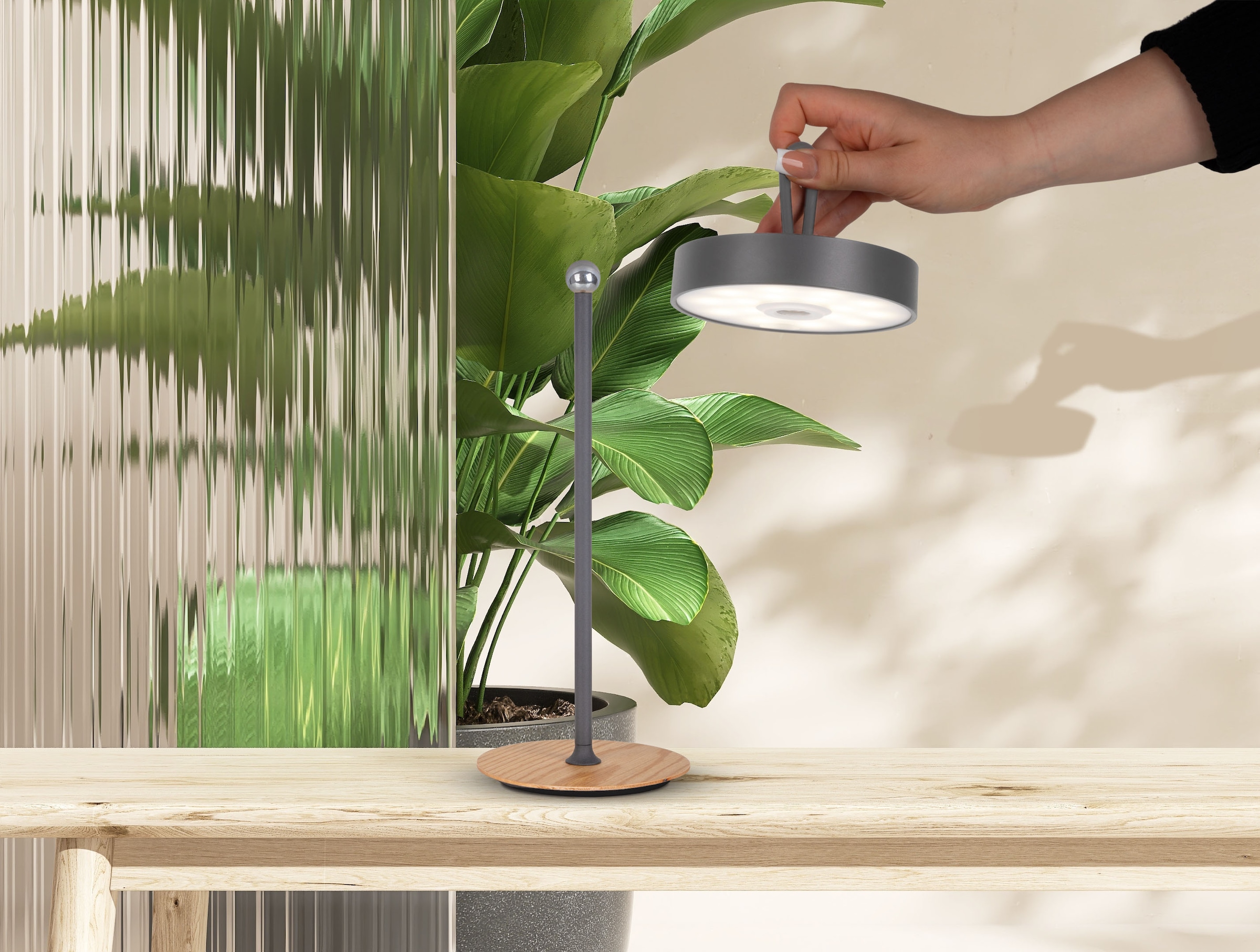 my home LED Tischleuchte »Charmont mit Holzfuß, abnehmbares Kopfteil als Hängeleuchte verwendbar« LED-Modul 1 Stk. Warmweiß aufladbar, inkl Akku + USB Kabel, Kopfteil magnetisch, abnehmbar, Holz