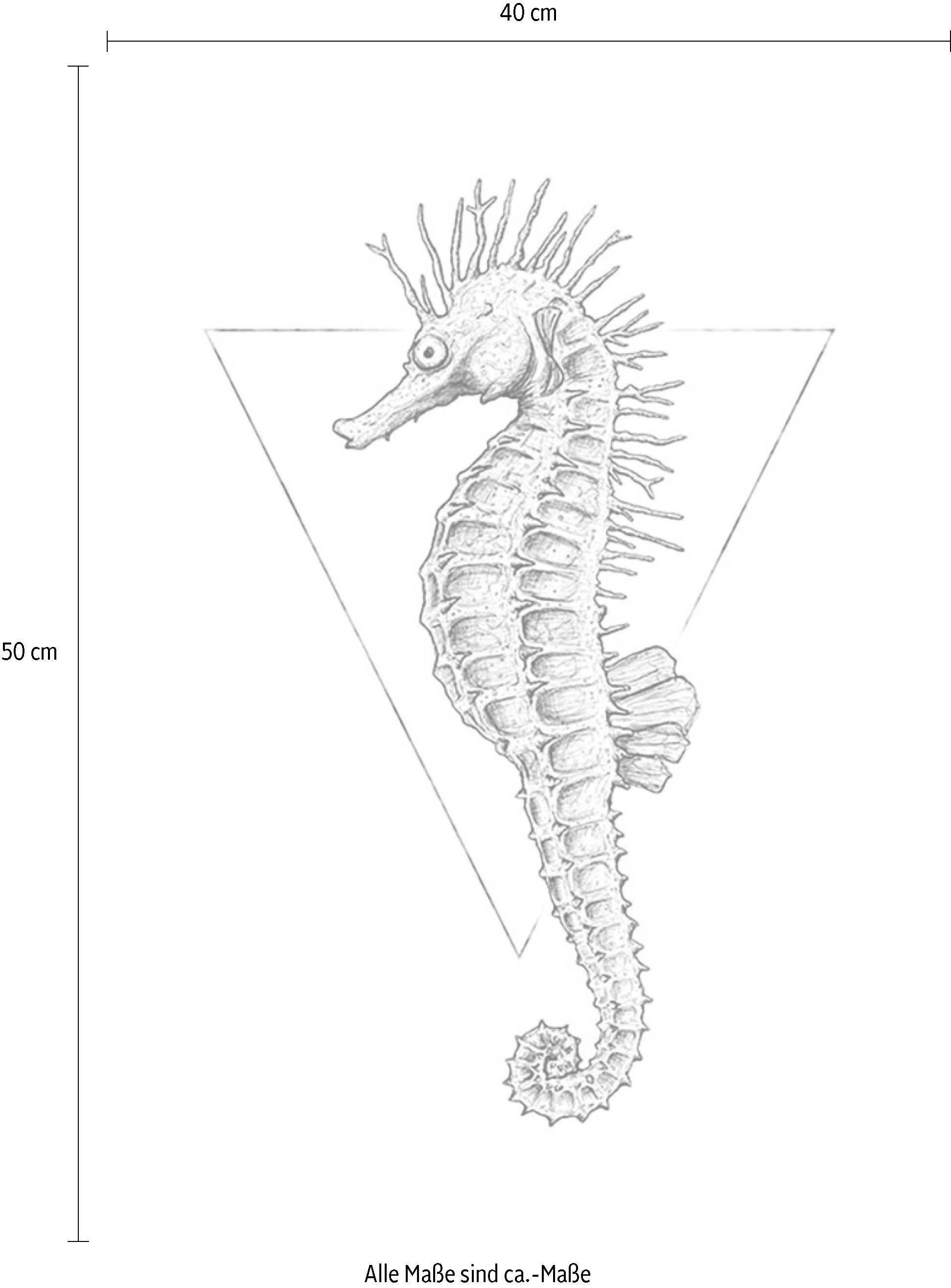 Komar Bild »Sea Horse White«, Tiere, (1 St.), Wandbild zur Dekoration - ohne Rahmen