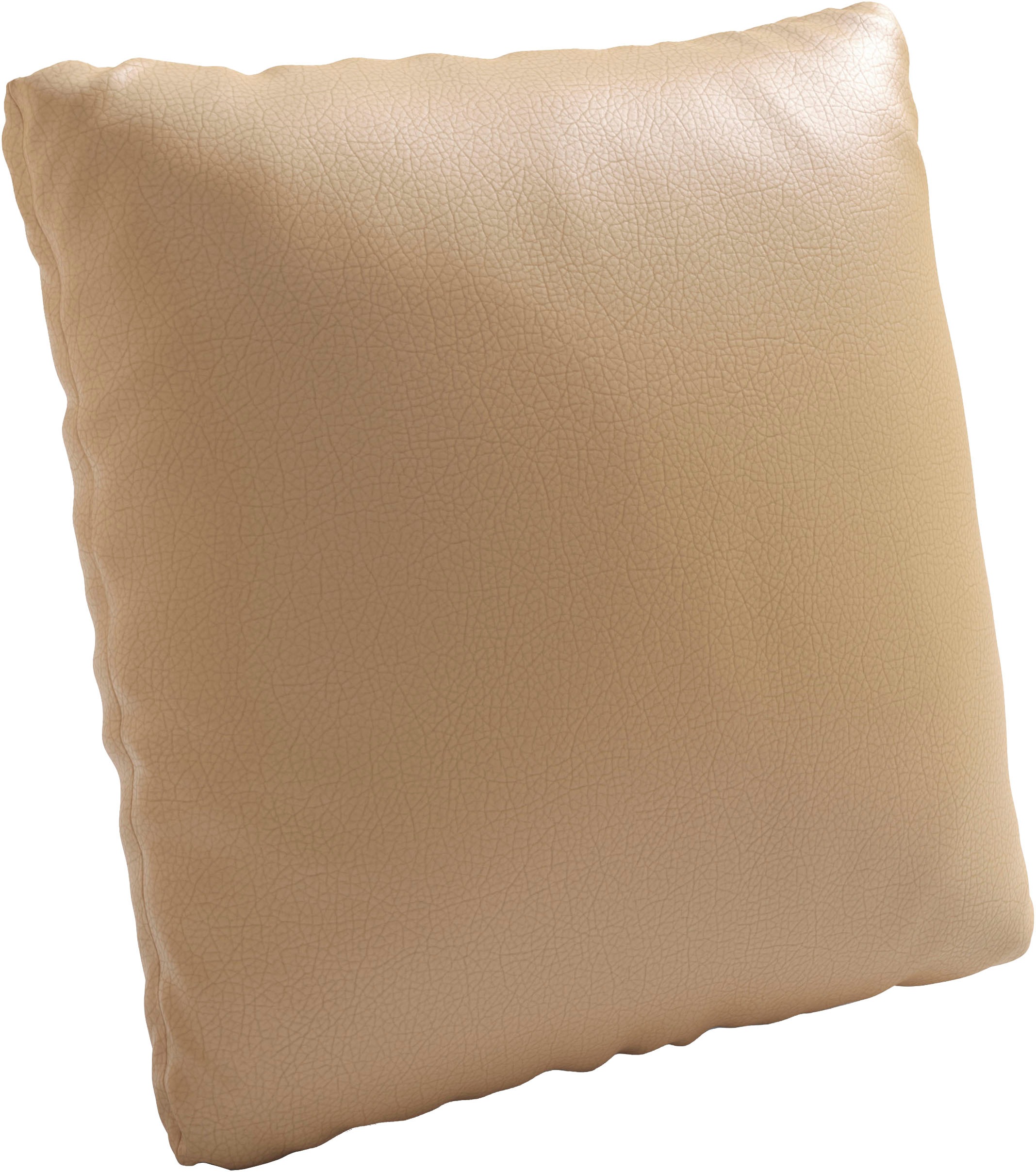 Polsterauflage SIT & MORE "Morris Jubi", cappuccino, B:45cm H:45cm T:12cm, Polsterauflagen, Polsterauflage
