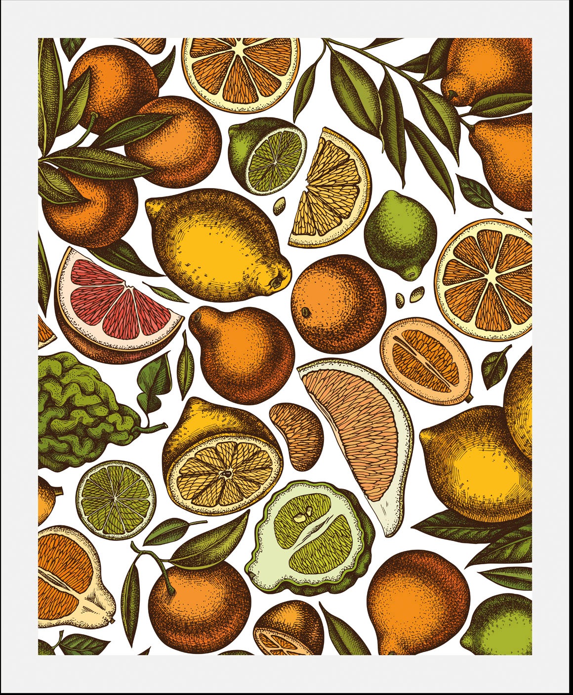 queence Bild "Farah", Obst-Obst Bilder-Essen-Lebensmittel-Kunst, (1 St.), g günstig online kaufen