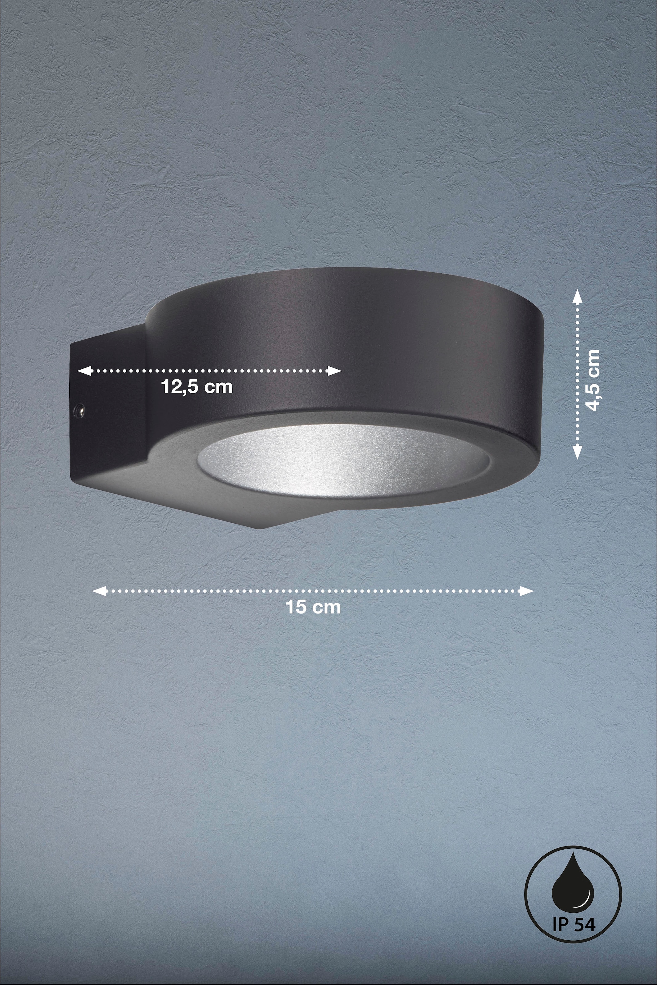 FISCHER & HONSEL LED Außen-Wandleuchte »Torres«, 1 flammig, Leuchtmittel LED-Modul | LED fest integriert