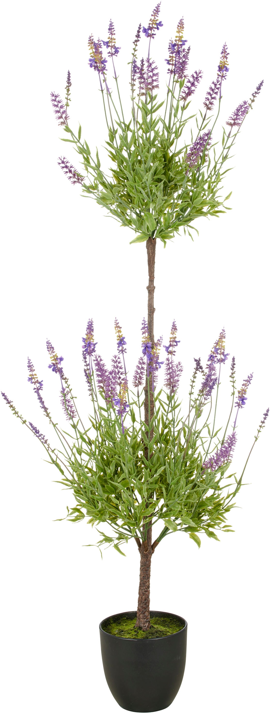 Creativ green Kunstpflanze "Lavendel", mit filigranen Lavendelbüten günstig online kaufen