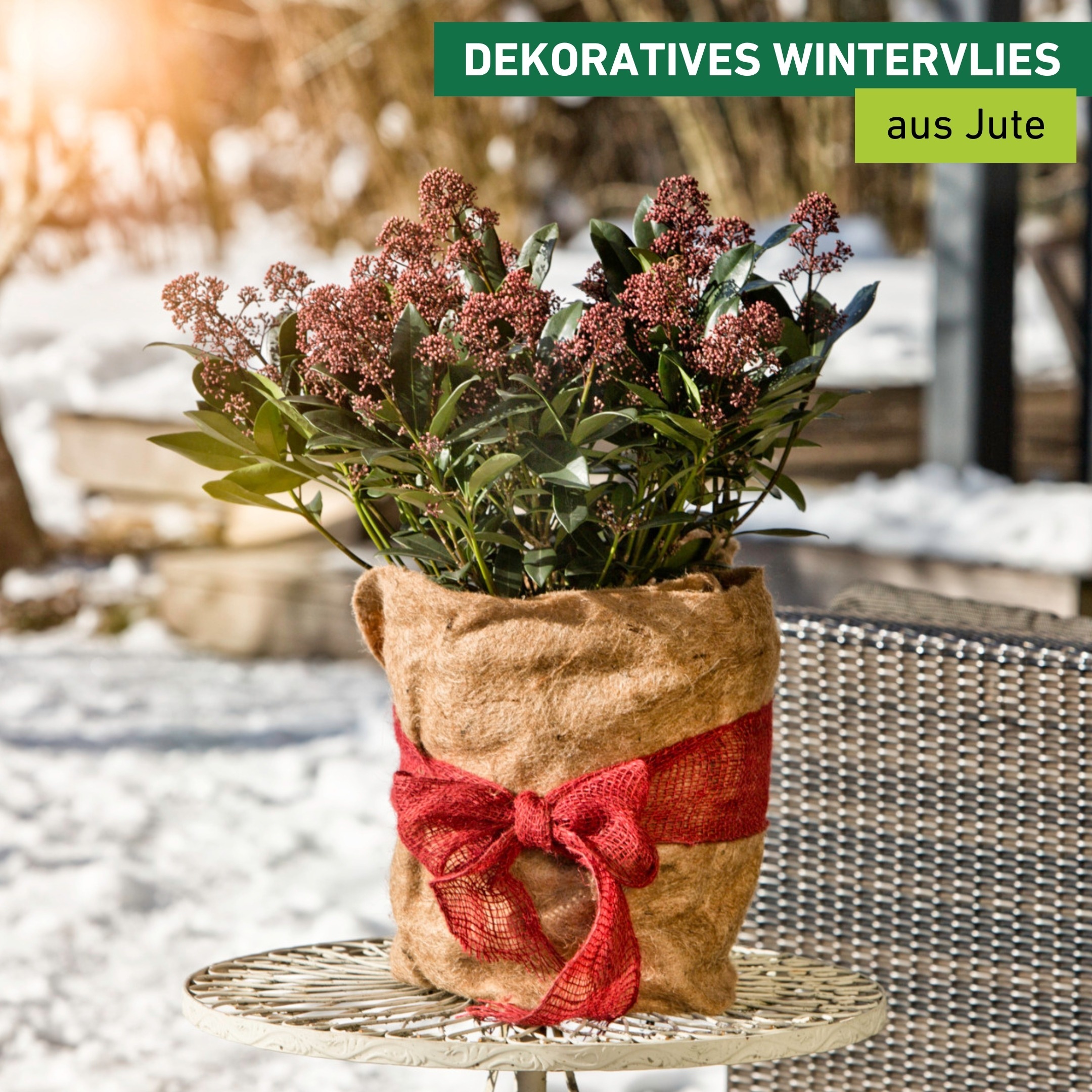Windhager Winterschutzvlies »Jute, Frostschutz Vliesmatte für Pflanzen« 1 Stk. tlg. Kälteschutz Thermovlies, 0,38 x 1,5 m, natur
