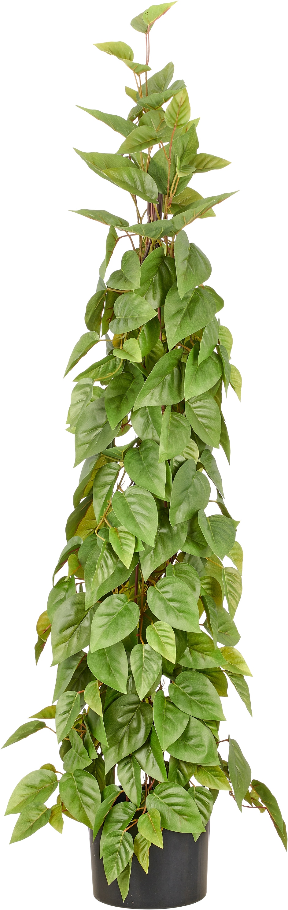 Creativ green Kunstbaum "Philodendron scandens" in Pyramidenform