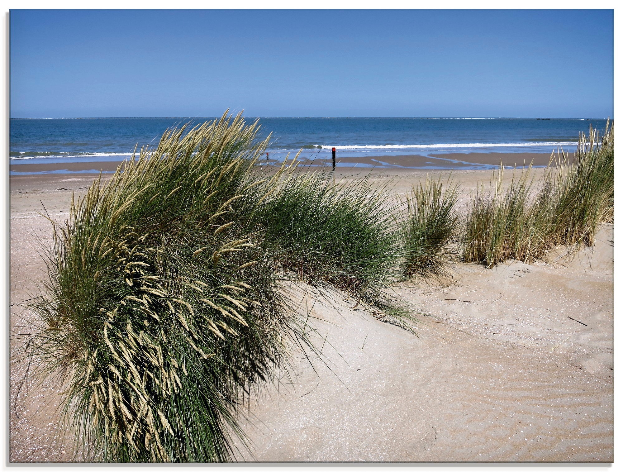 Artland Glasbild "wellige Dünenlandschaft", Strand, (1 St.), in verschiedenen Größen