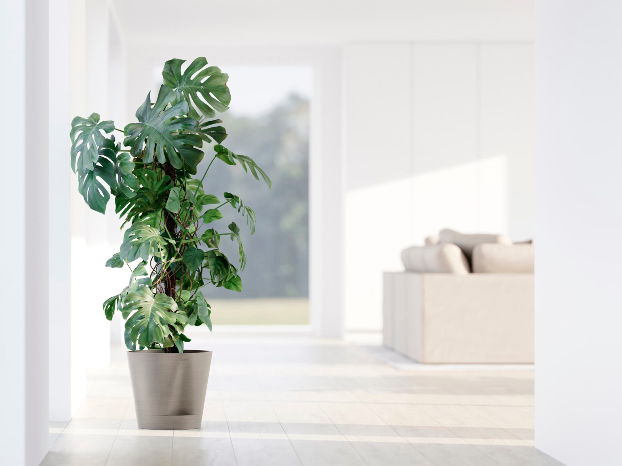 ECOPOTS Blumentopf »Venice 2 30 Taupe«, für den Innenbereich