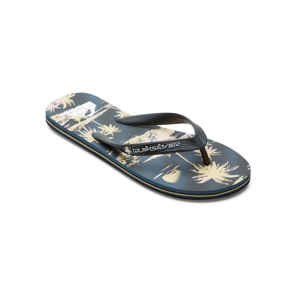 Quiksilver Sandale »Molokai Air Flow«