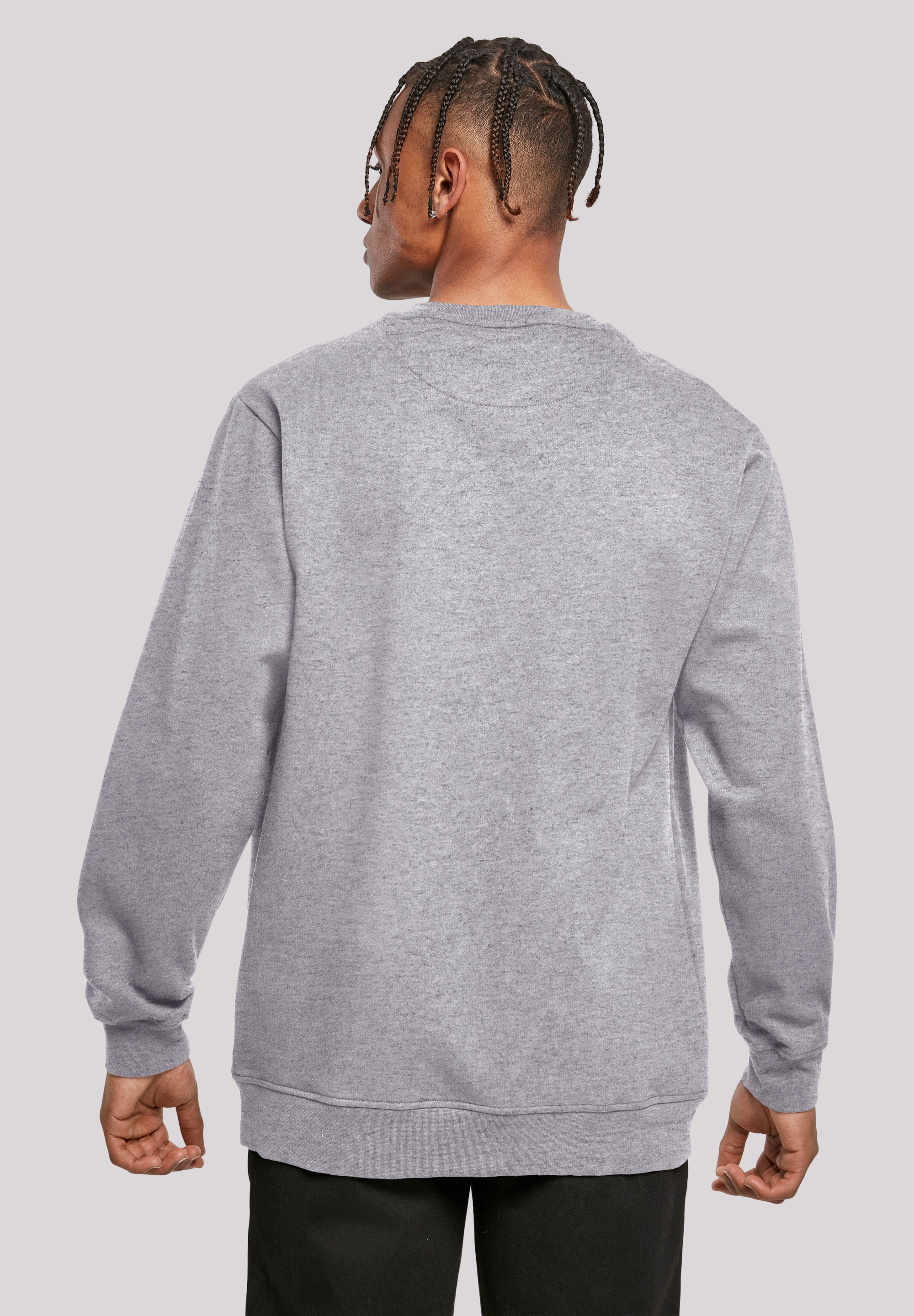 F4NT4STIC Rundhalspullover »F4NT4STIC Herren Harry-Potter-Christmas-Knit with Basic Crewneck«, (1 tlg.)