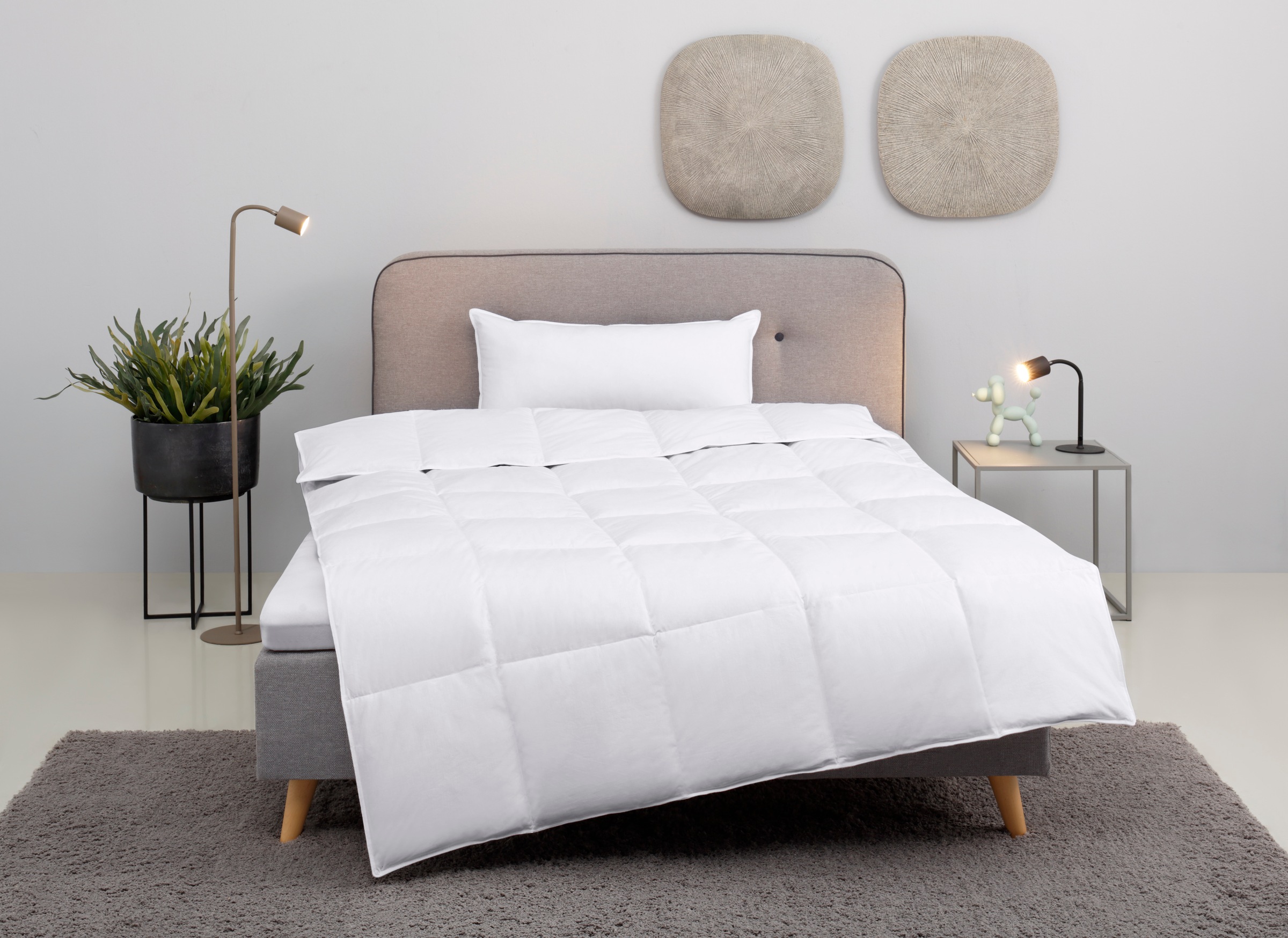 my home Daunenbettdecke + Kopfkissen "Cavanelle Bettdecke 135x200 cm, 155x2 günstig online kaufen