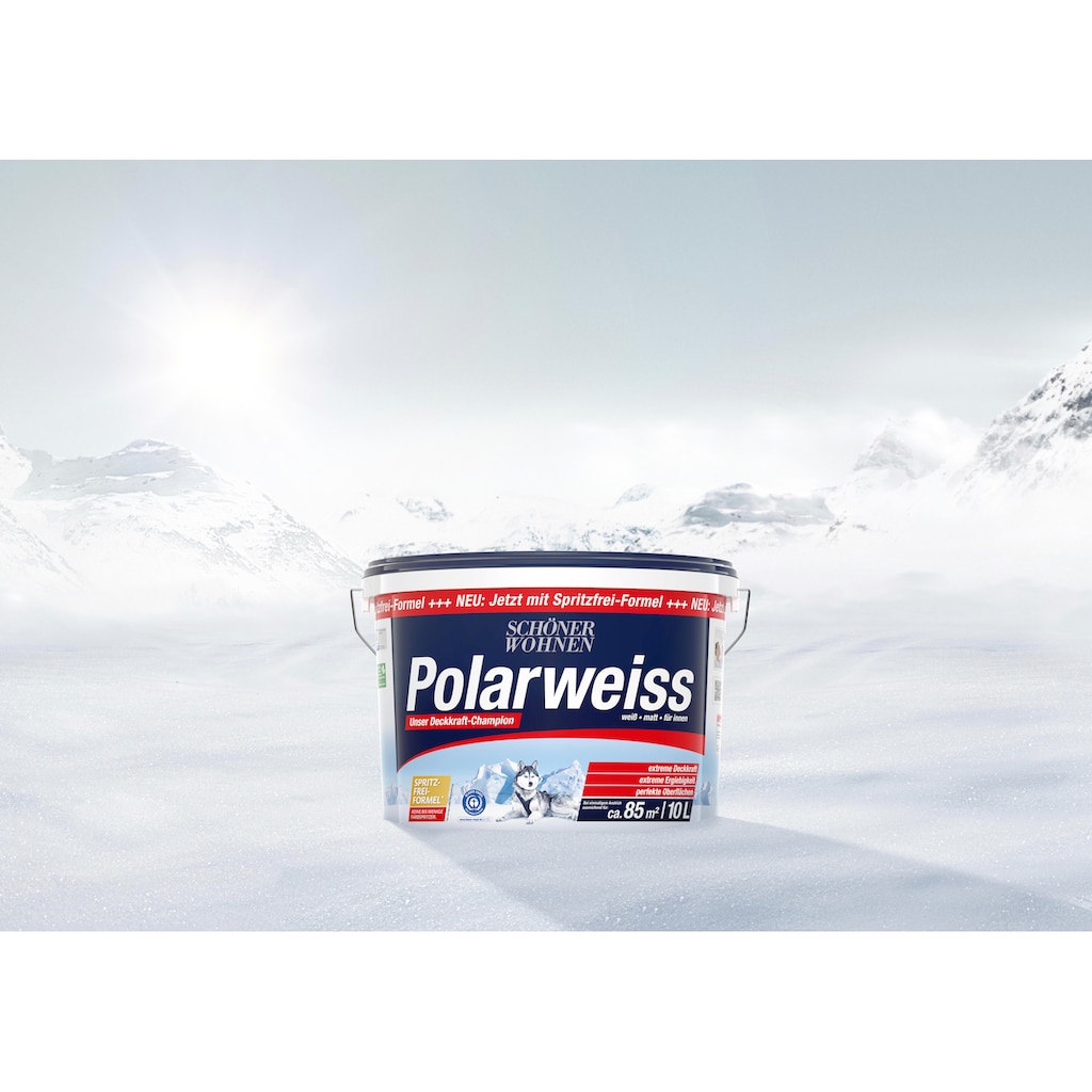 SCHÖNER WOHNEN FARBE Wand- und Deckenfarbe »Polarweiss«