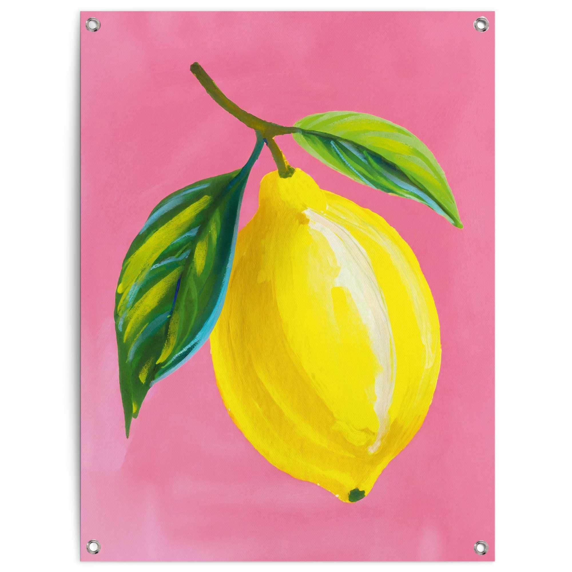 Reinders Poster "Lemon on Pink", Garten - Zitrone - Gelb - Leinwand - Essen günstig online kaufen