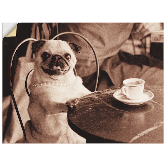 Artland Wandbild »Kaffee Mops«, Haustiere, (1 St.), als Leinwandbild,  Wandaufkleber oder Poster in versch. Größen kaufen | BAUR