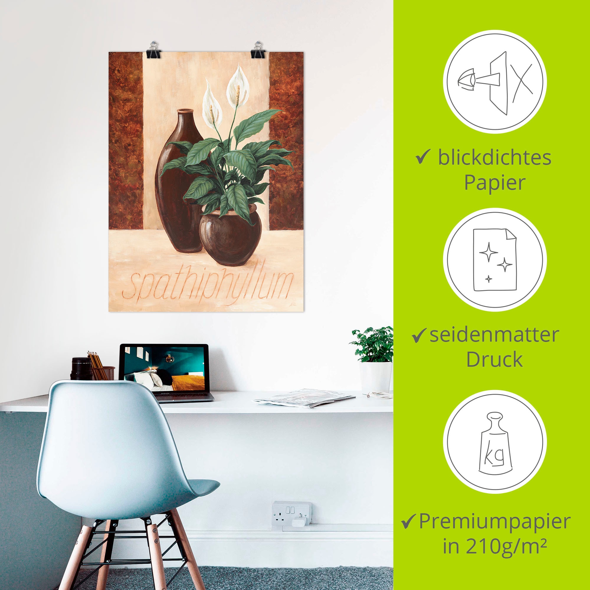 Artland Poster »Spathiphyllum - Einblatt«, Pflanzenbilder, (1 St.), als Alubild, Leinwandbild, Wandaufkleber oder Poster in versch. Größen