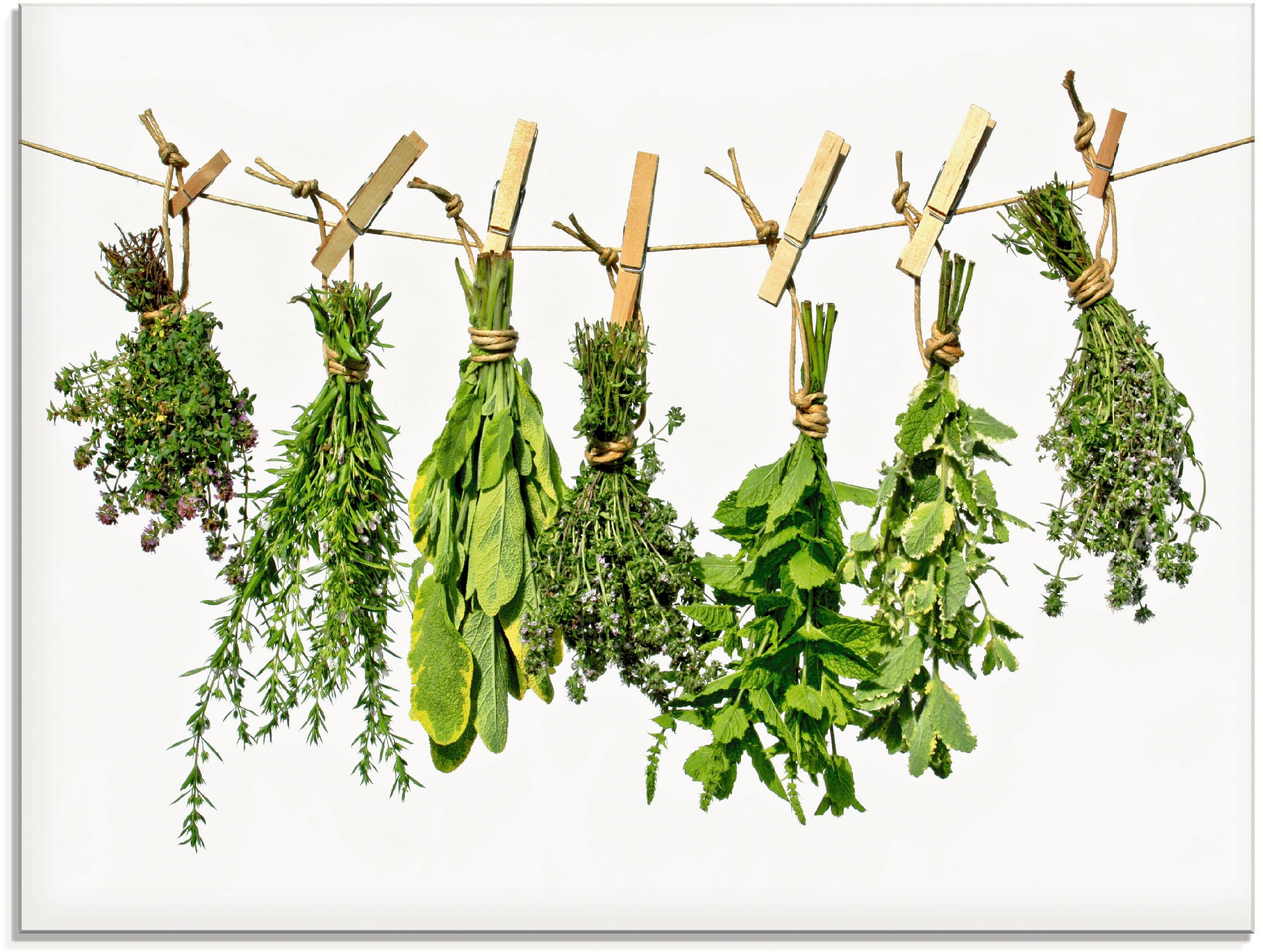 Artland "Kräuter" Pflanzen 1 Stk. tlg. in verschiedenen Größen günstig online kaufen