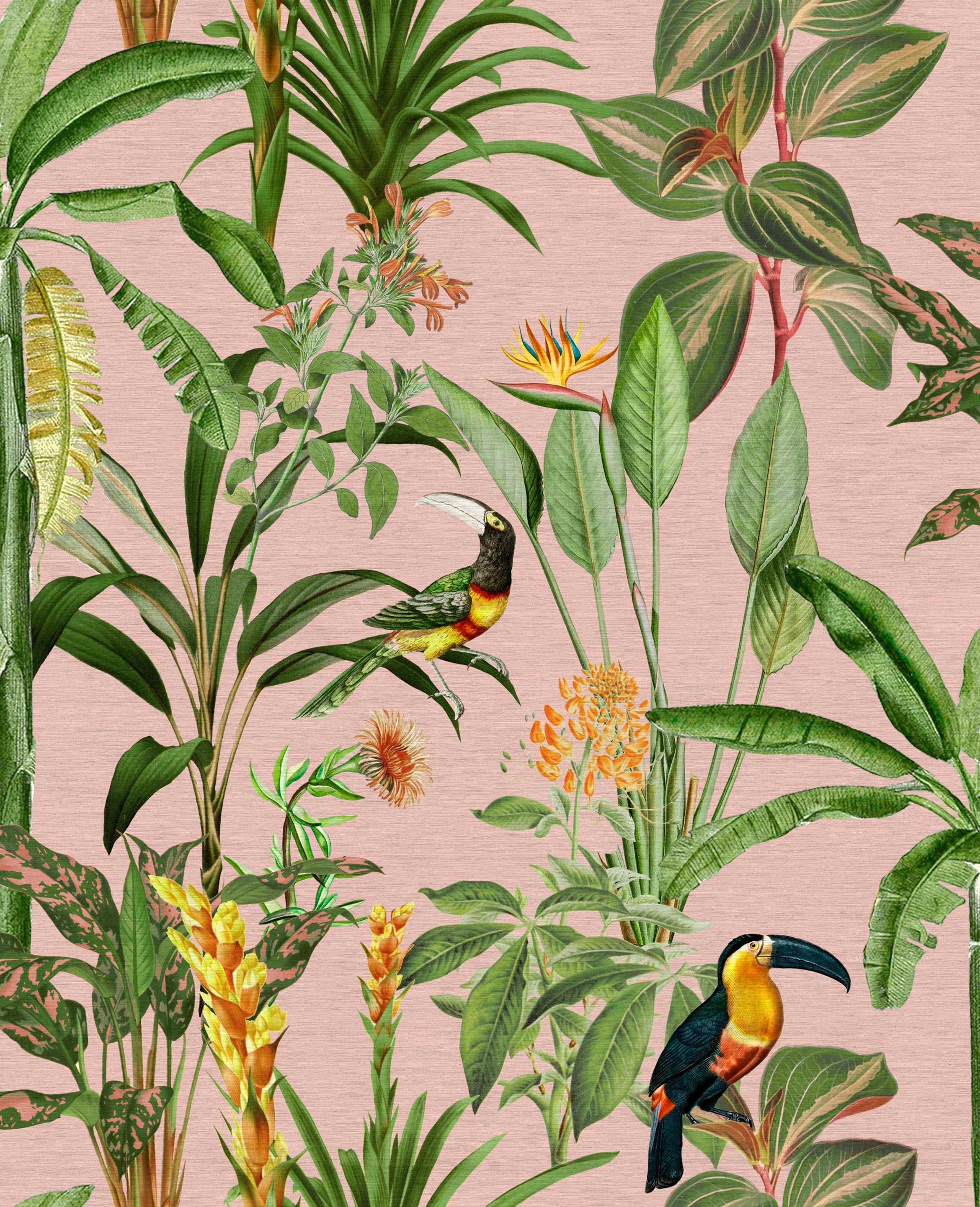 Vliestapete »Sarah Cotton«, Motiv, botanisch