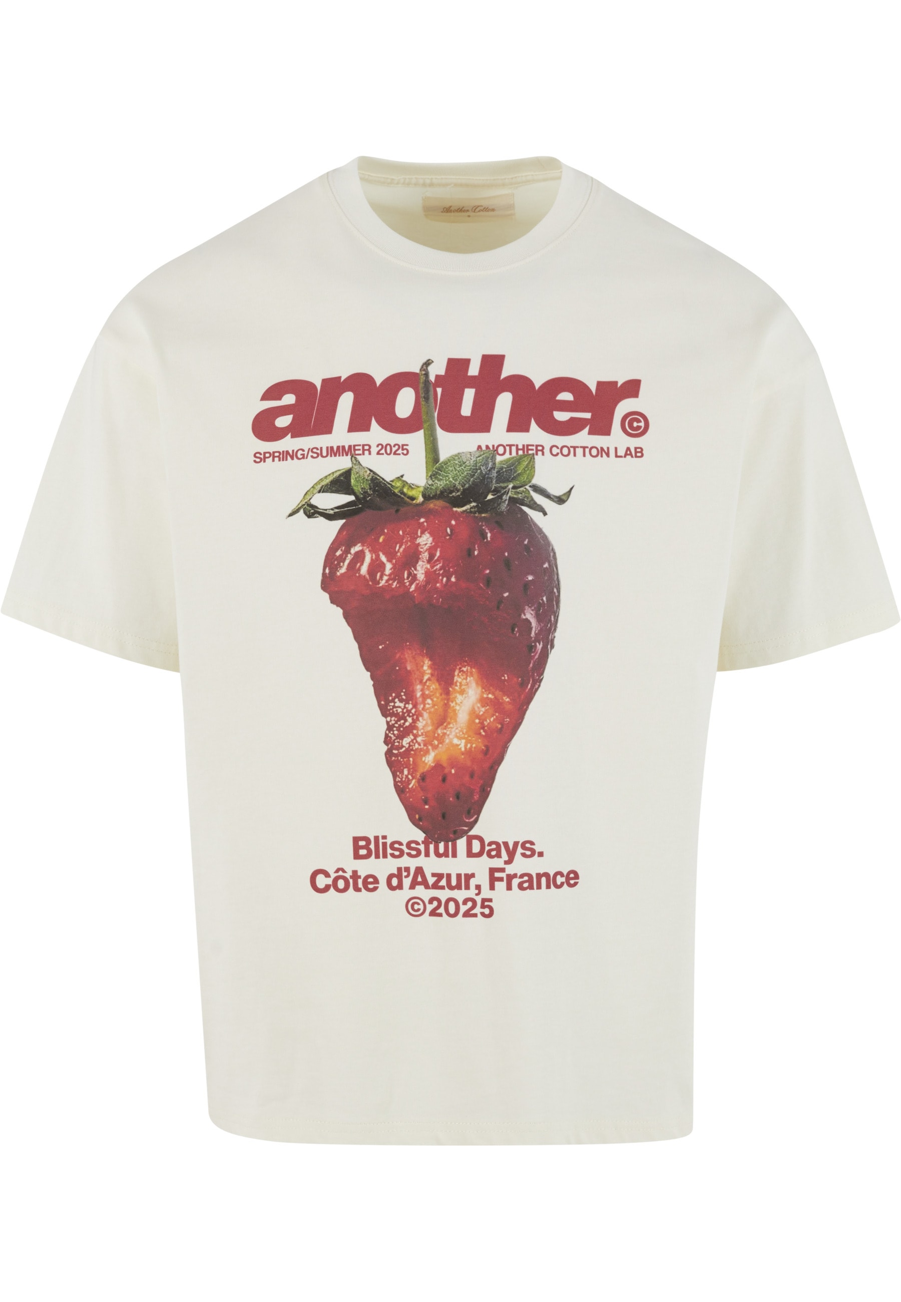 Another Cotton Lab T-Shirt "Another Cotton Lab Blissful Days Oversized Tshirt" 1
