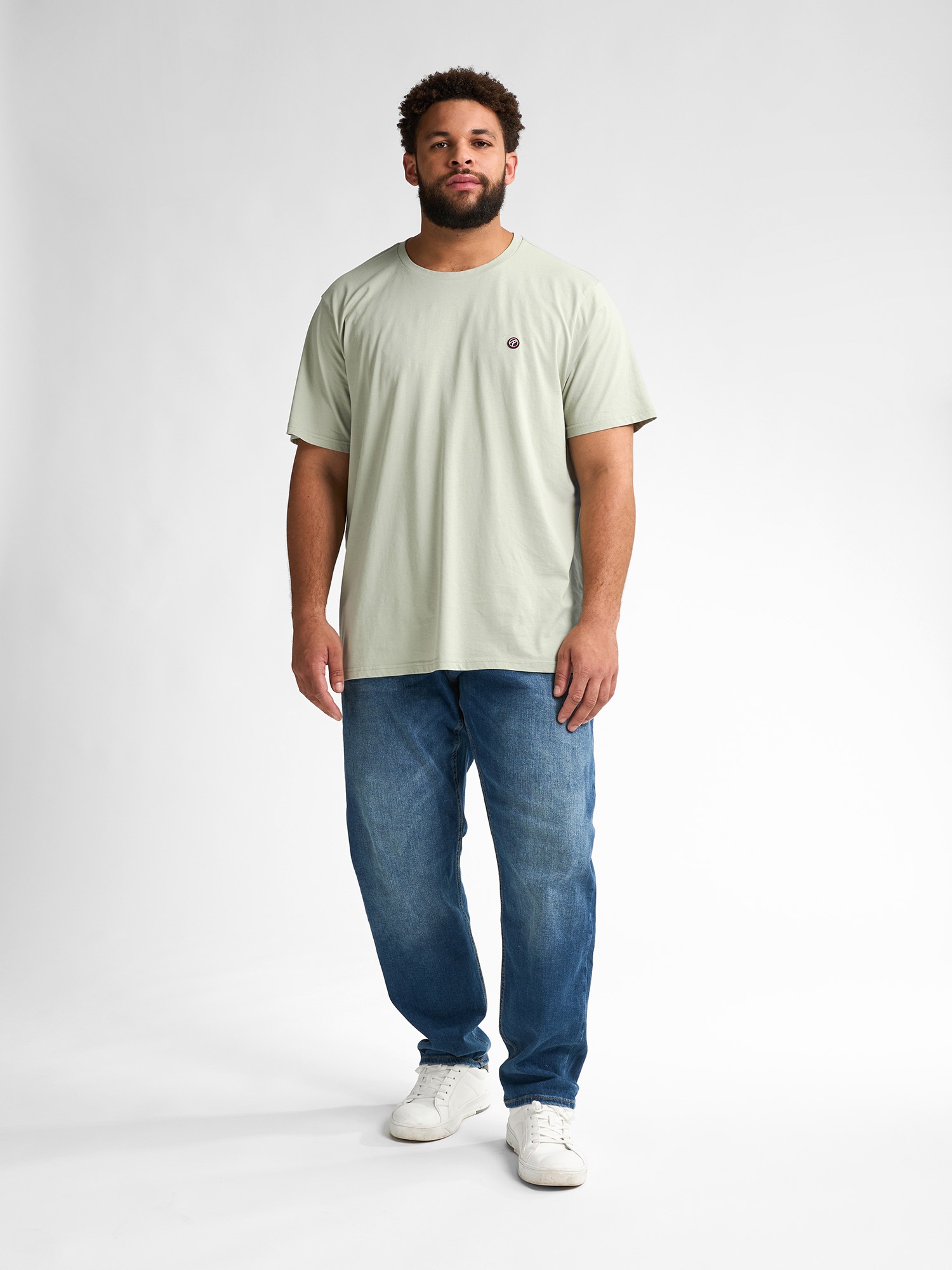 Petrol Industries Rundhalsshirt, mit Logo Stickerei