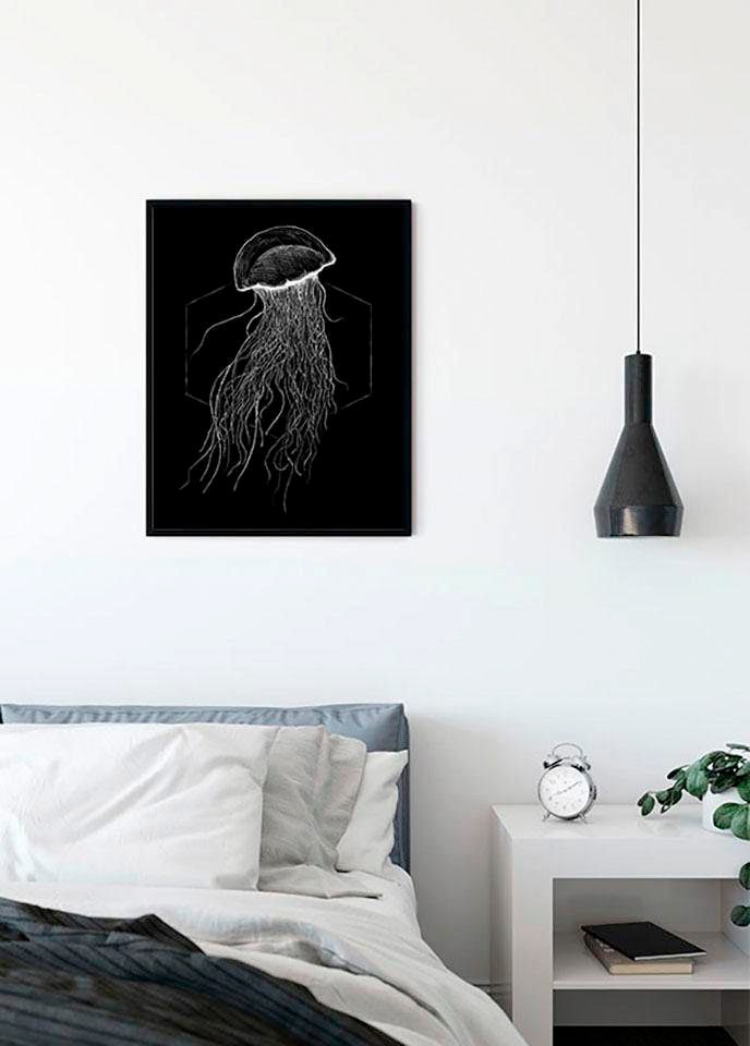 Komar Poster | Tiere, »Jellyfish Black«, (1 St.), Wohnzimmer BAUR Kinderzimmer, Schlafzimmer