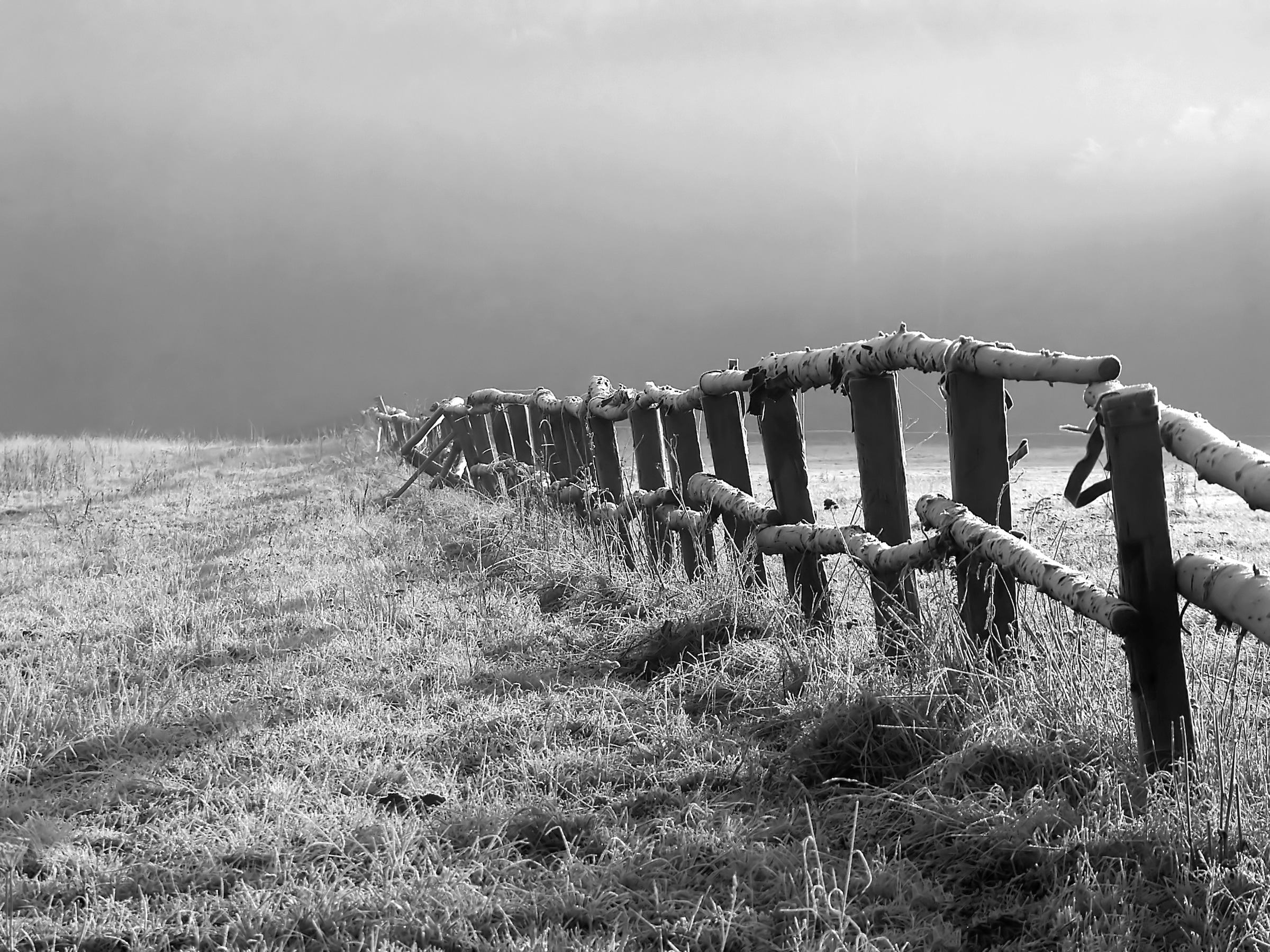 Papermoon Fototapete "Feld Schwarz & Weiß"