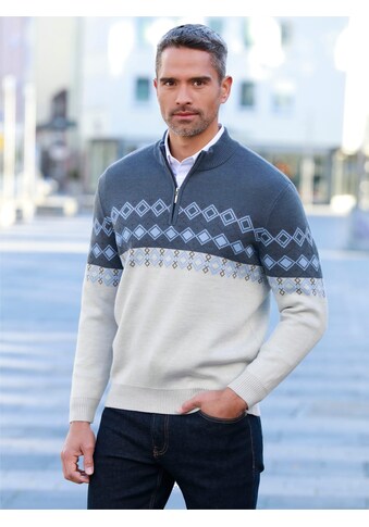 Stehkragenpullover »Pullover«