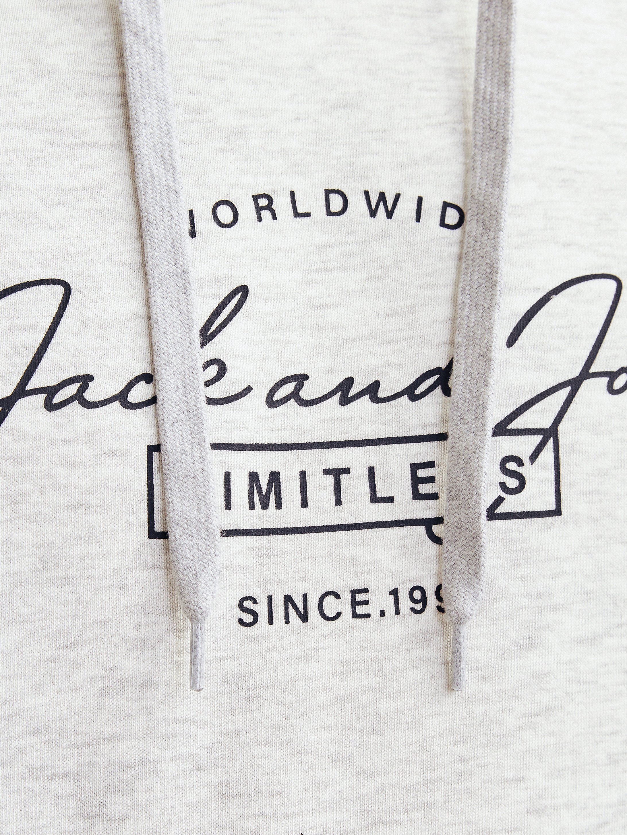 Jack & Jones Kapuzensweatshirt »JJFERRIS SWEAT HOOD«