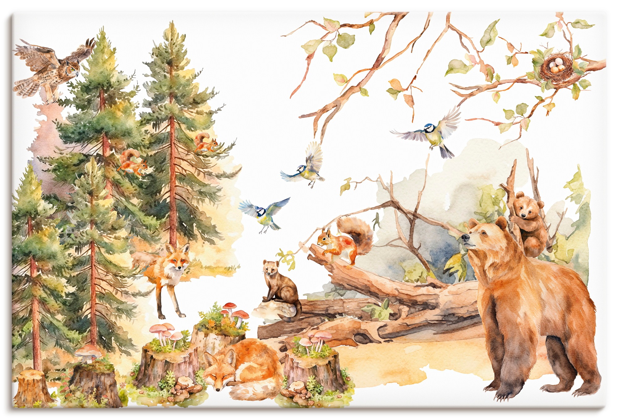 Artland Wandbild "Die Tiere des Waldes" 1 Stk. tlg. als Alubild, Leinwandbild, Poster, Wandaufkleber in verschied. Größen