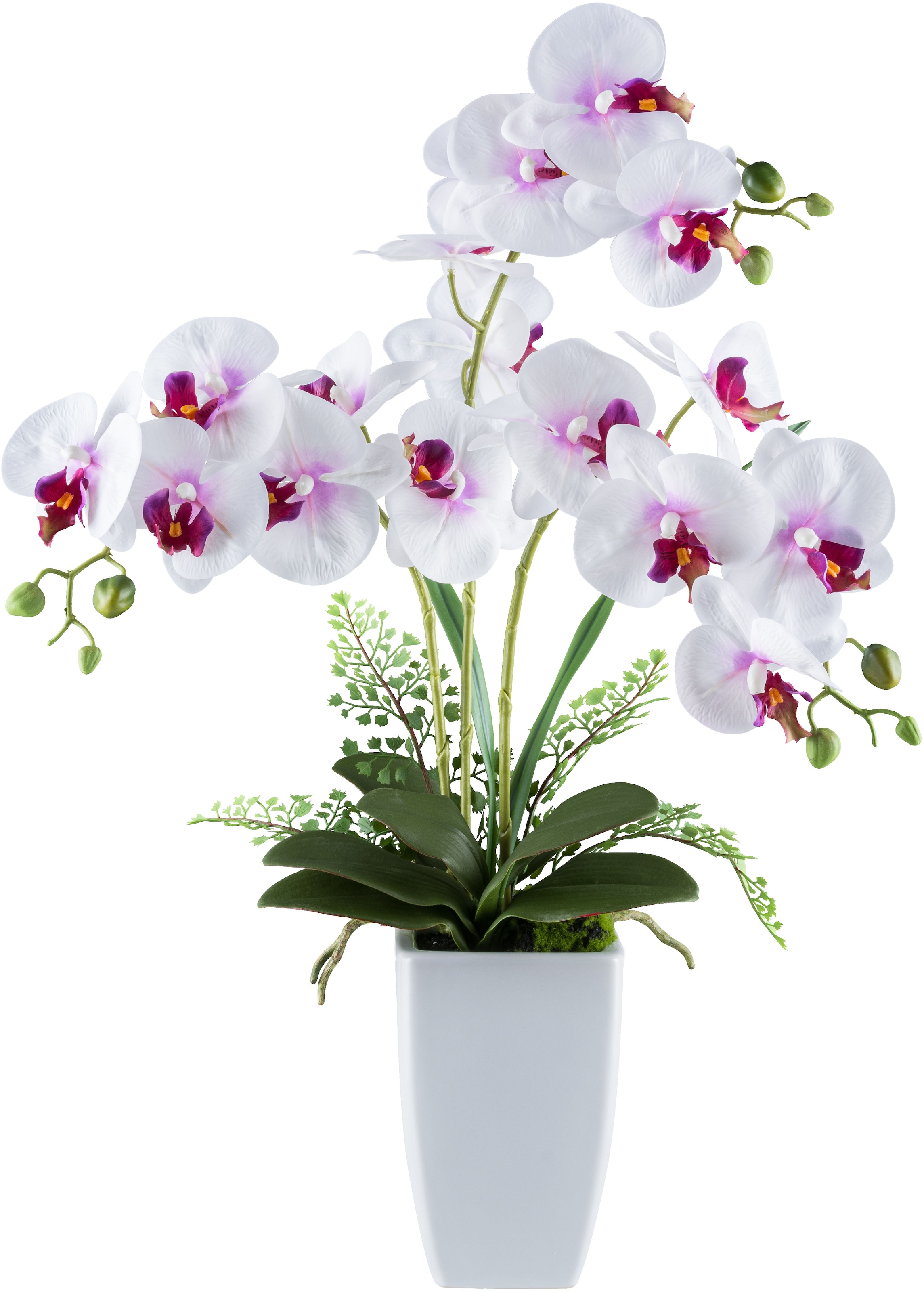 Creativ green Kunstorchidee "Orchidee Phalaenopsis", mit Farnzweigen