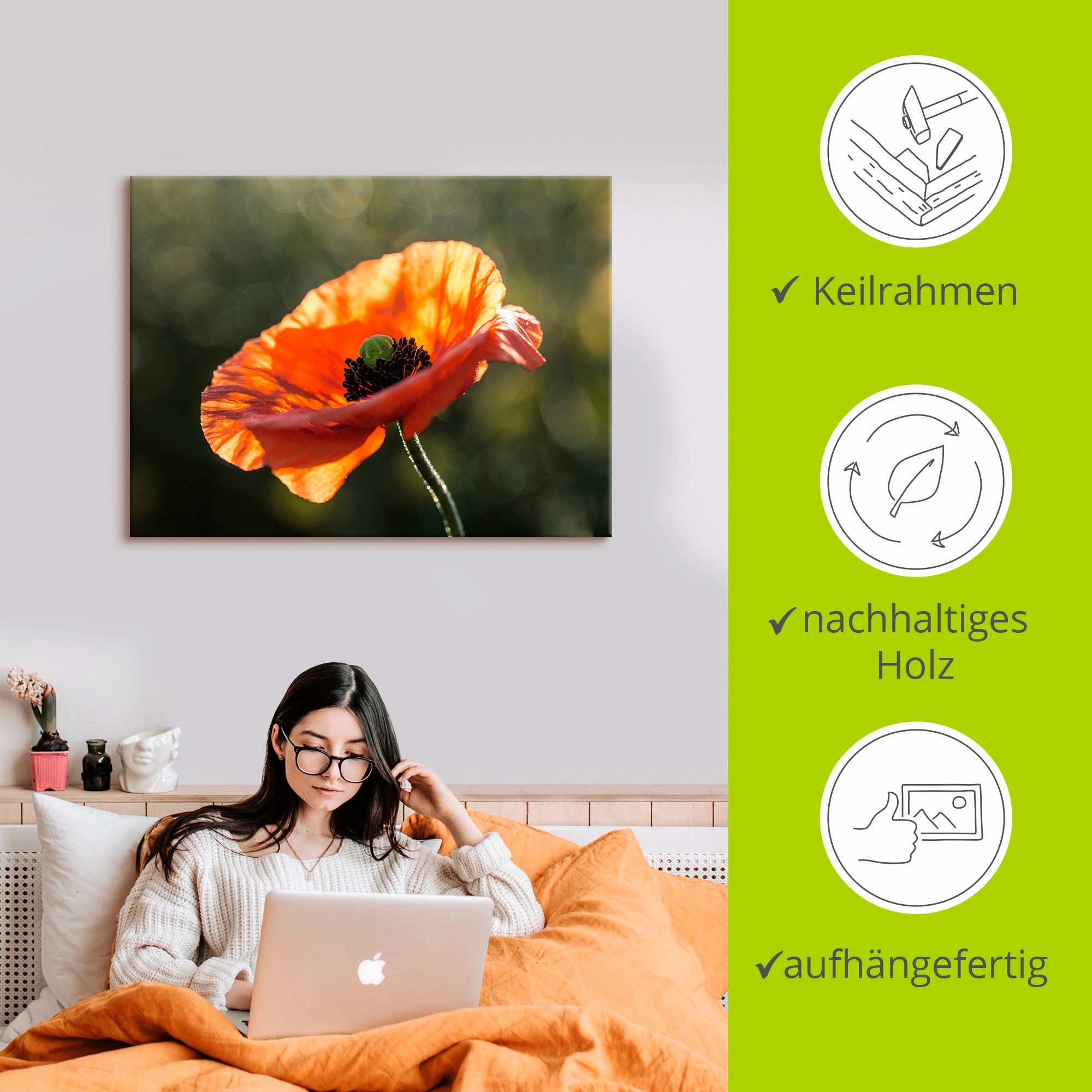 Artland Wandbild »Mohnblüte I«, Blumen, (1 St.), als Leinwandbild, Poster in verschied. Größen