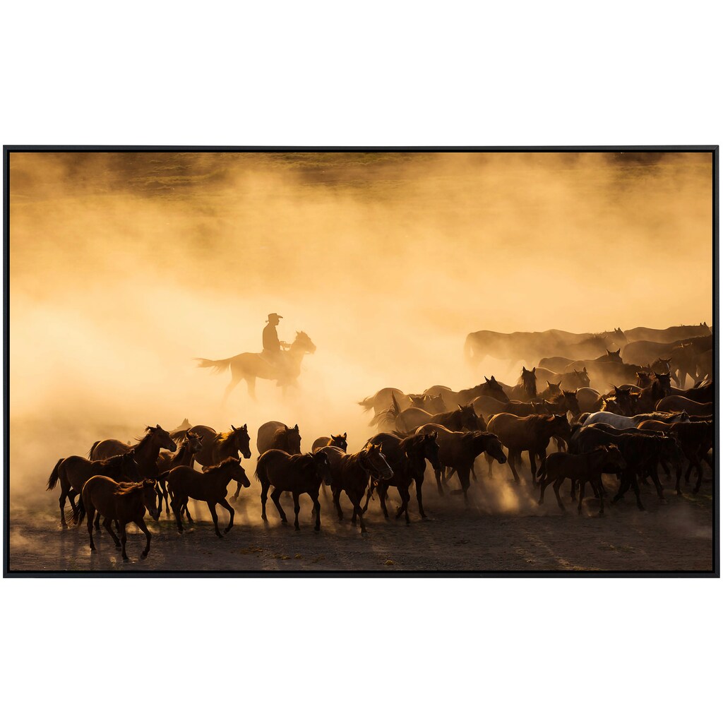 Papermoon Infrarotheizung »Cowboy mit Herde«