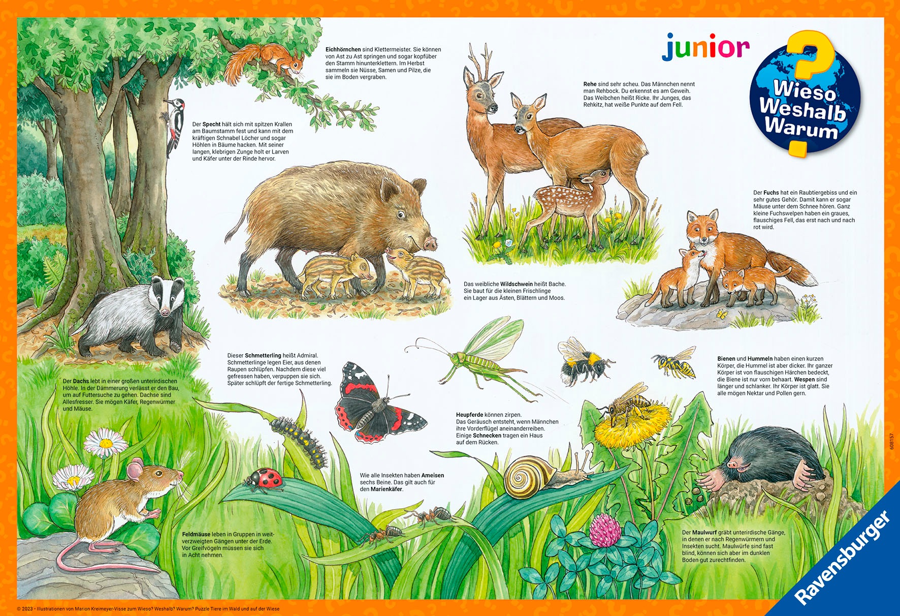 Ravensburger Puzzle »Wieso? Weshalb? Warum? Junior, Tiere im Wald und auf der Wiese«, 2x12 Teile; Made in Europe