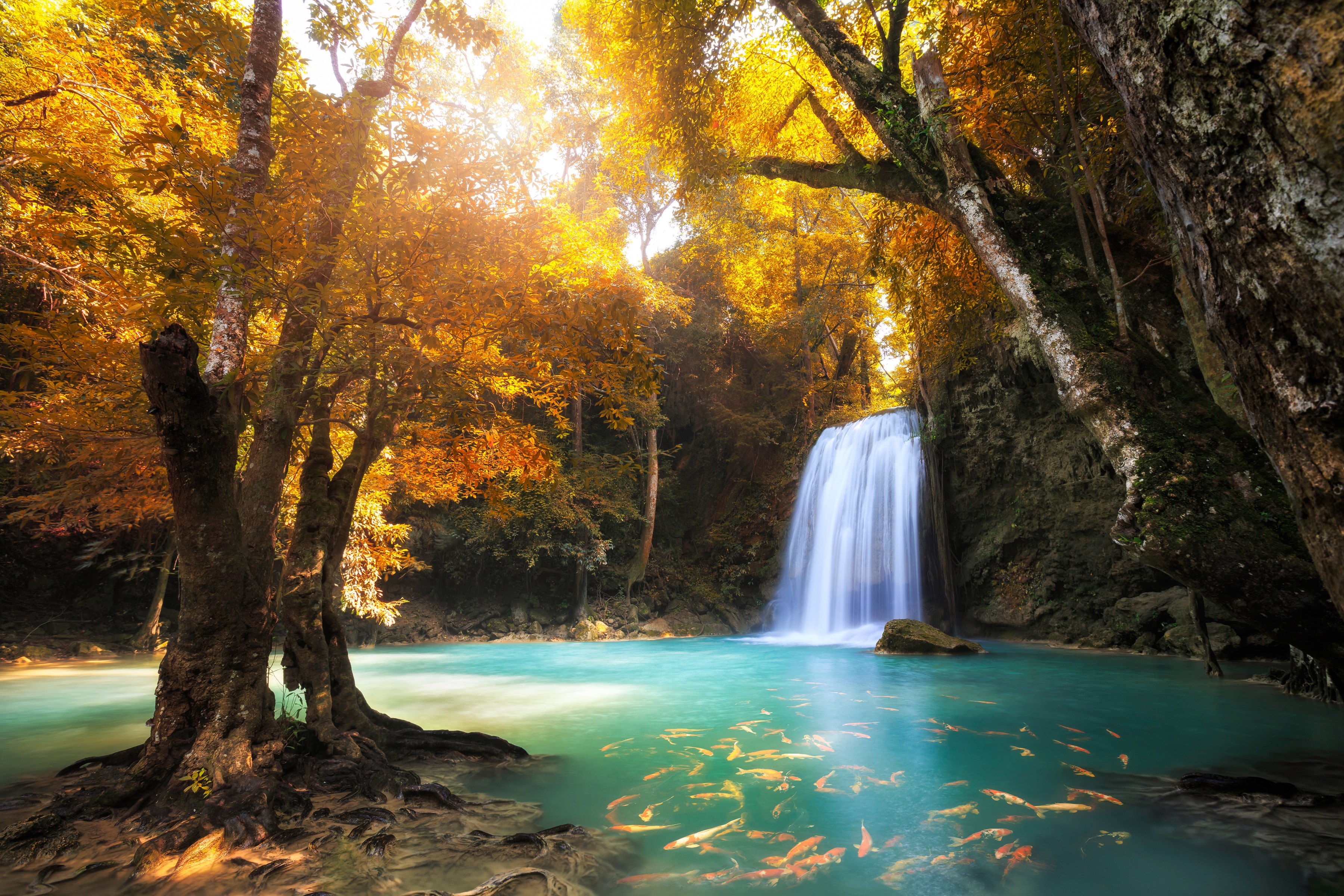 Papermoon Fototapete "Waterfall in Kanchanaburi, Thailand" glatt