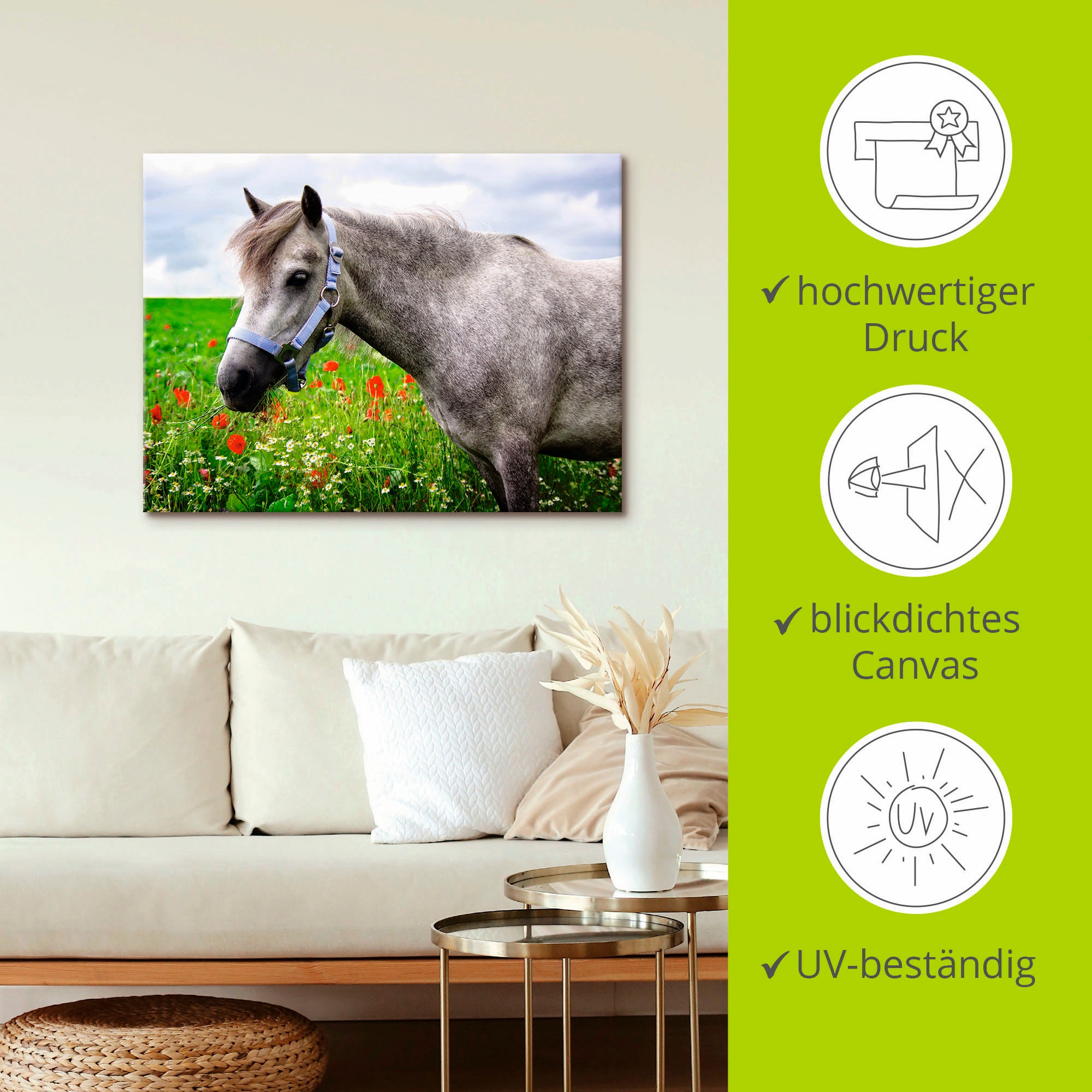 Artland Wandbild »Welshpony«, Haustiere, (1 St.), als Leinwandbild, Wandaufkleber in verschied. Größen