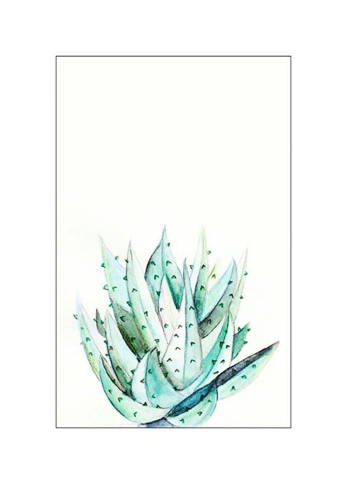 Komar Poster »Aloe Watercolor«, Pflanzen-Blätter, (1 St.), Kinderzimmer,  Schlafzimmer, Wohnzimmer | BAUR