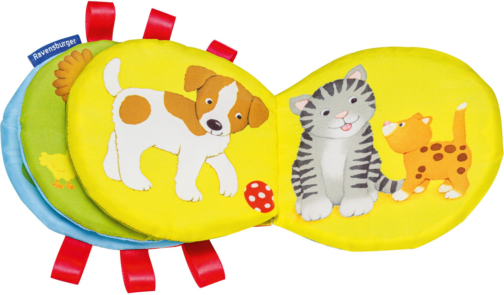 Ravensburger Buch »ministeps®, Mein Knister-Käferchen«