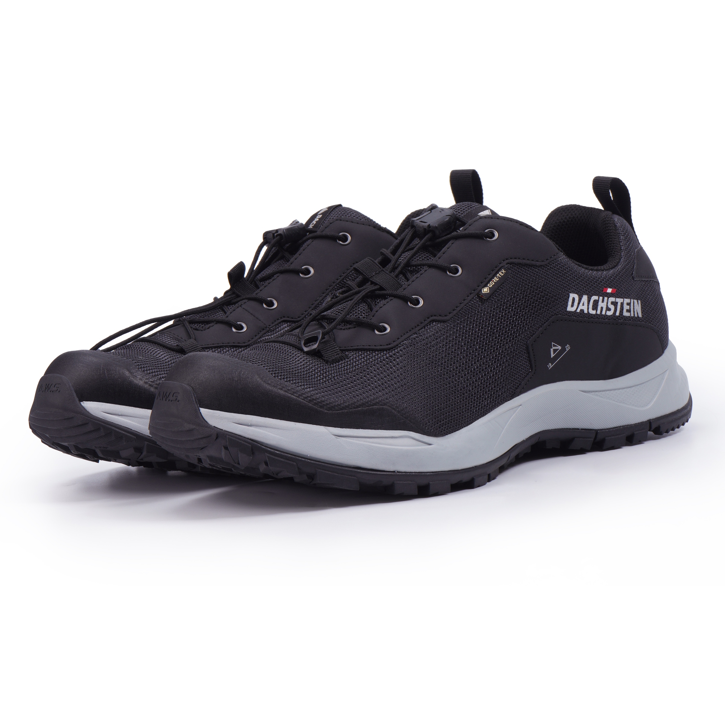 Wanderschuh »DELTA ASCENT GTX«, wasserdicht