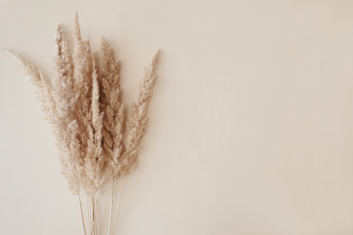 A.S. Création Vliestapete »Pampasgras-Tapete Beige Natur Fototapete Boho Stil« matt glatt