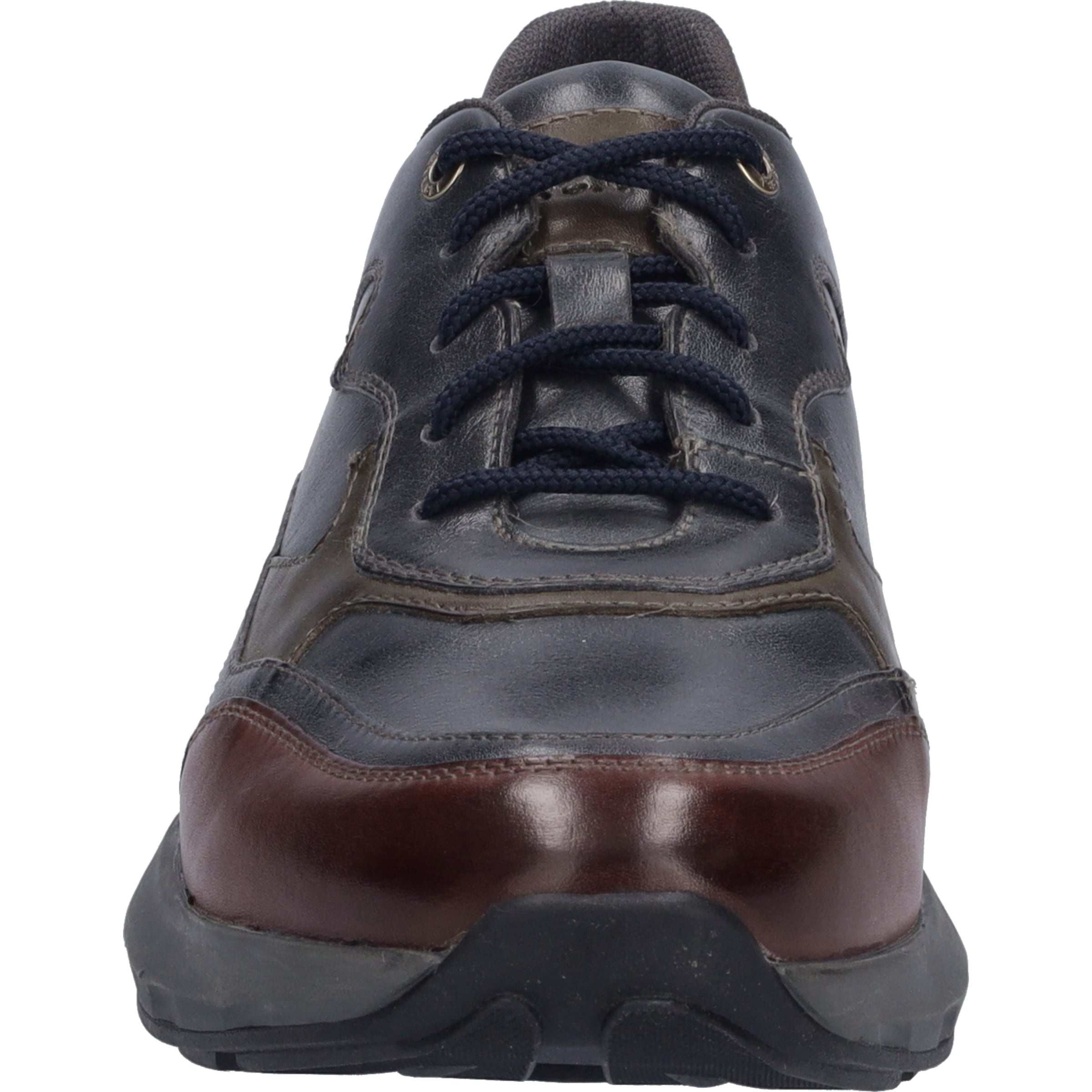 Josef Seibel Sneaker »Cameron 08, ocean-multi«