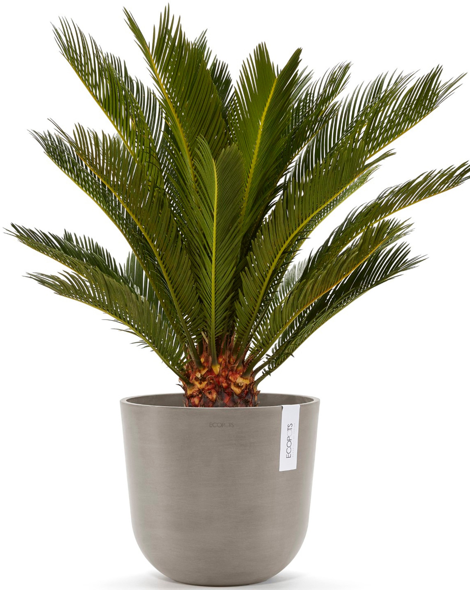 ECOPOTS Blumentopf »Oslo 25 + Wassersystem Taupe«, für innen und außen: frostsicher, bruchsicher und lichtbeständig
