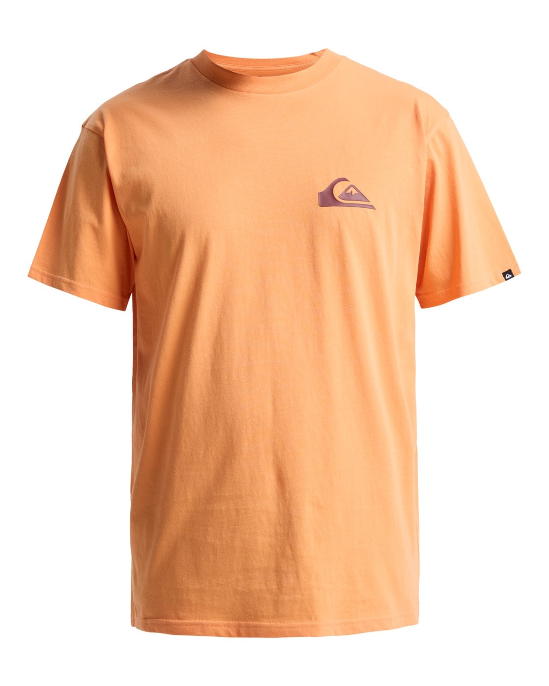 Quiksilver T-Shirt "Ev Mini Logo 2024" günstig online kaufen