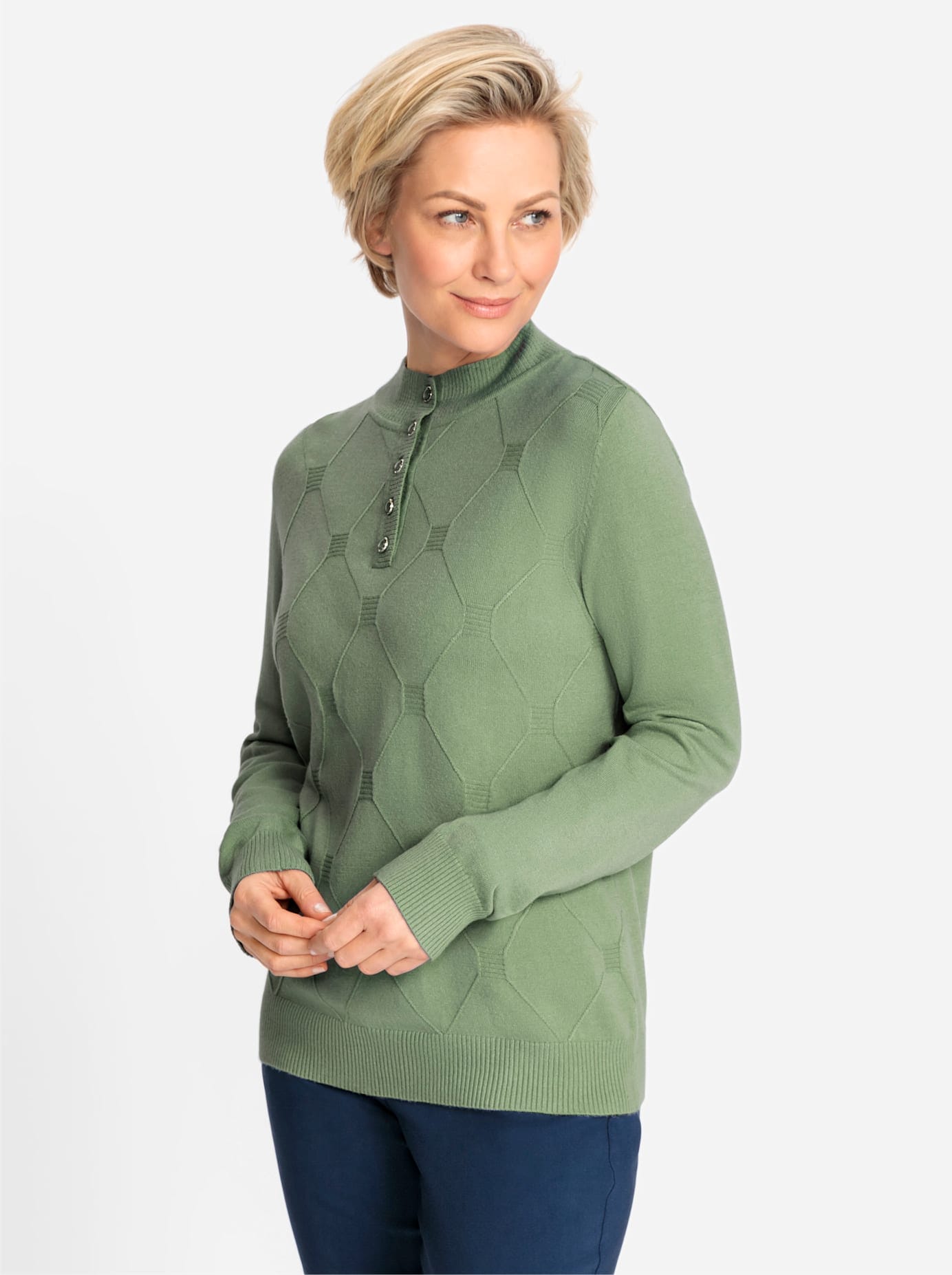 Classic Stehkragenpullover "Pullover"