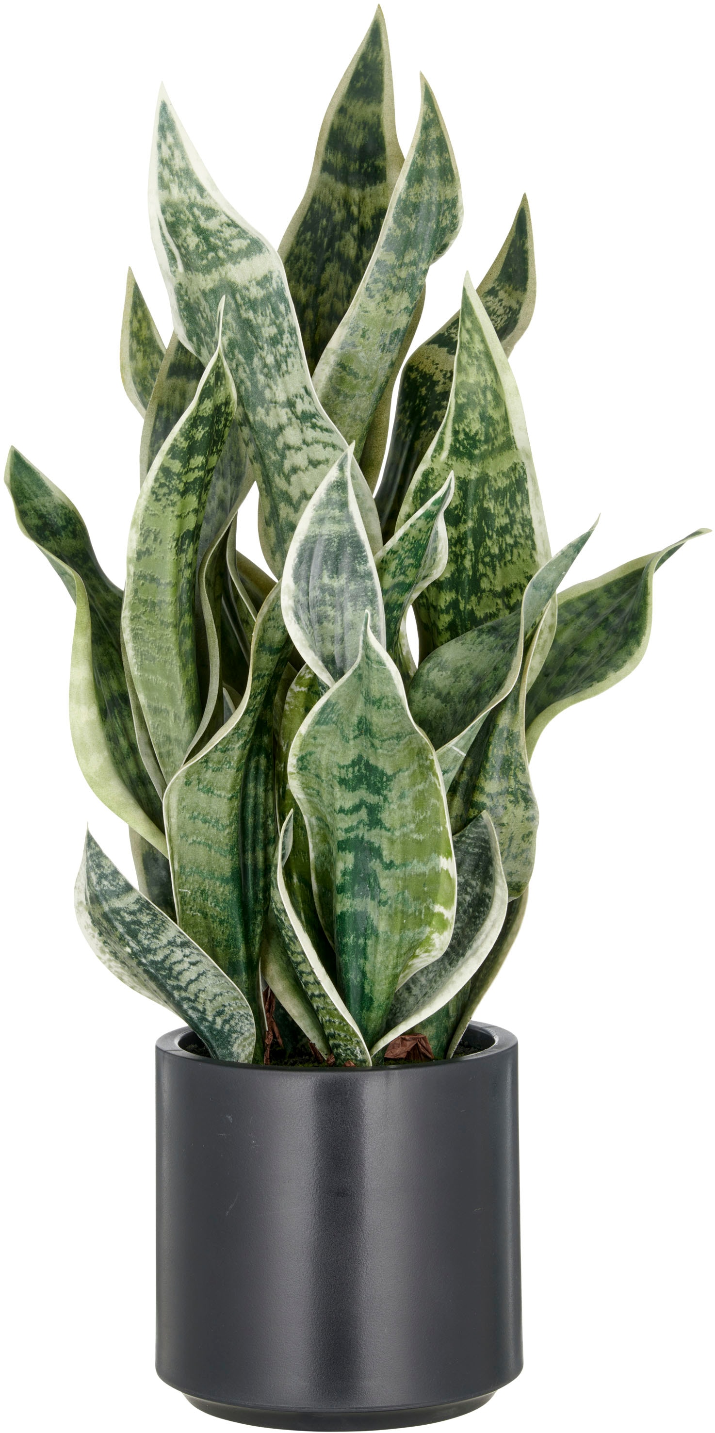 Creativ green Kunstpflanze, im eleganten Pflanzgefäß günstig online kaufen