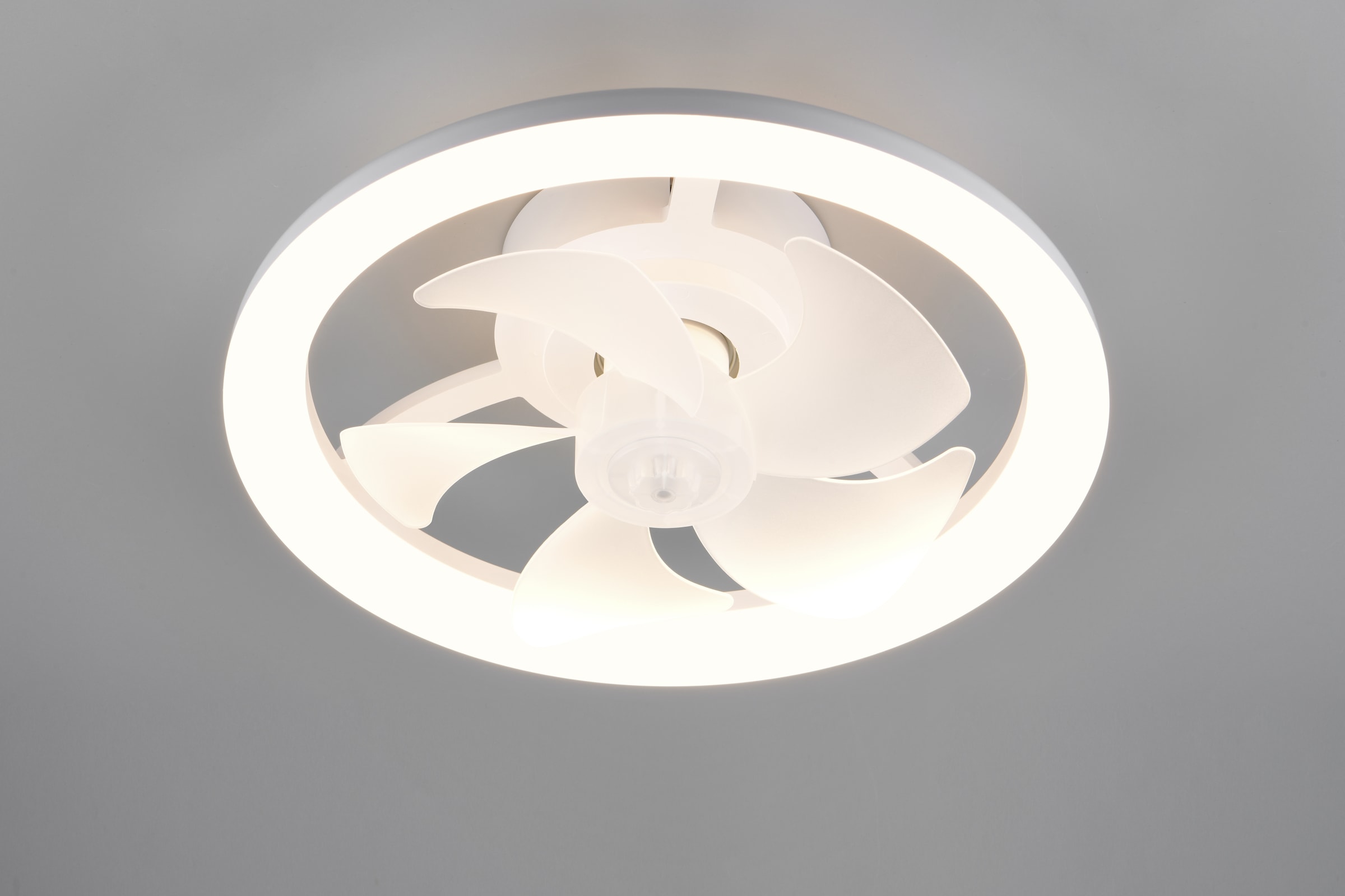 REALITY Leuchten LED Deckenleuchte »PAJALA mit Ventilator, Deckenventilator mit Licht, 22W LED CCT Ø 40cm« LED-Board 1 Stk. Farbwechsler | warmweiß - kaltweiß Fernbedienung 3 Geschwindigkeiten Timer Vor- & Rücklauf dimmbar