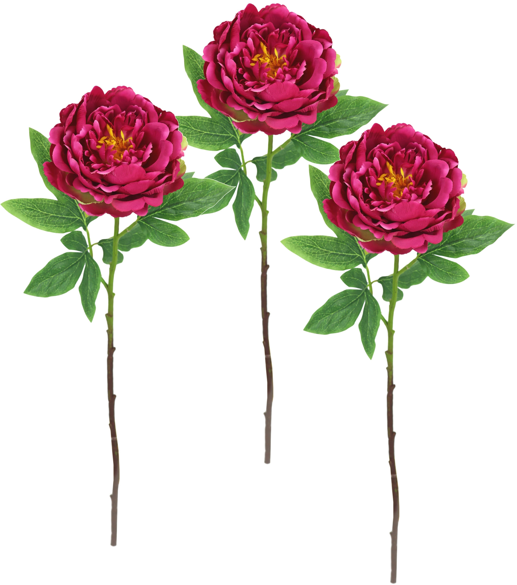 I.GE.A. Kunstblume "Päonie Bauernrose", Pfingstrosen Einzelblume, 3er Set