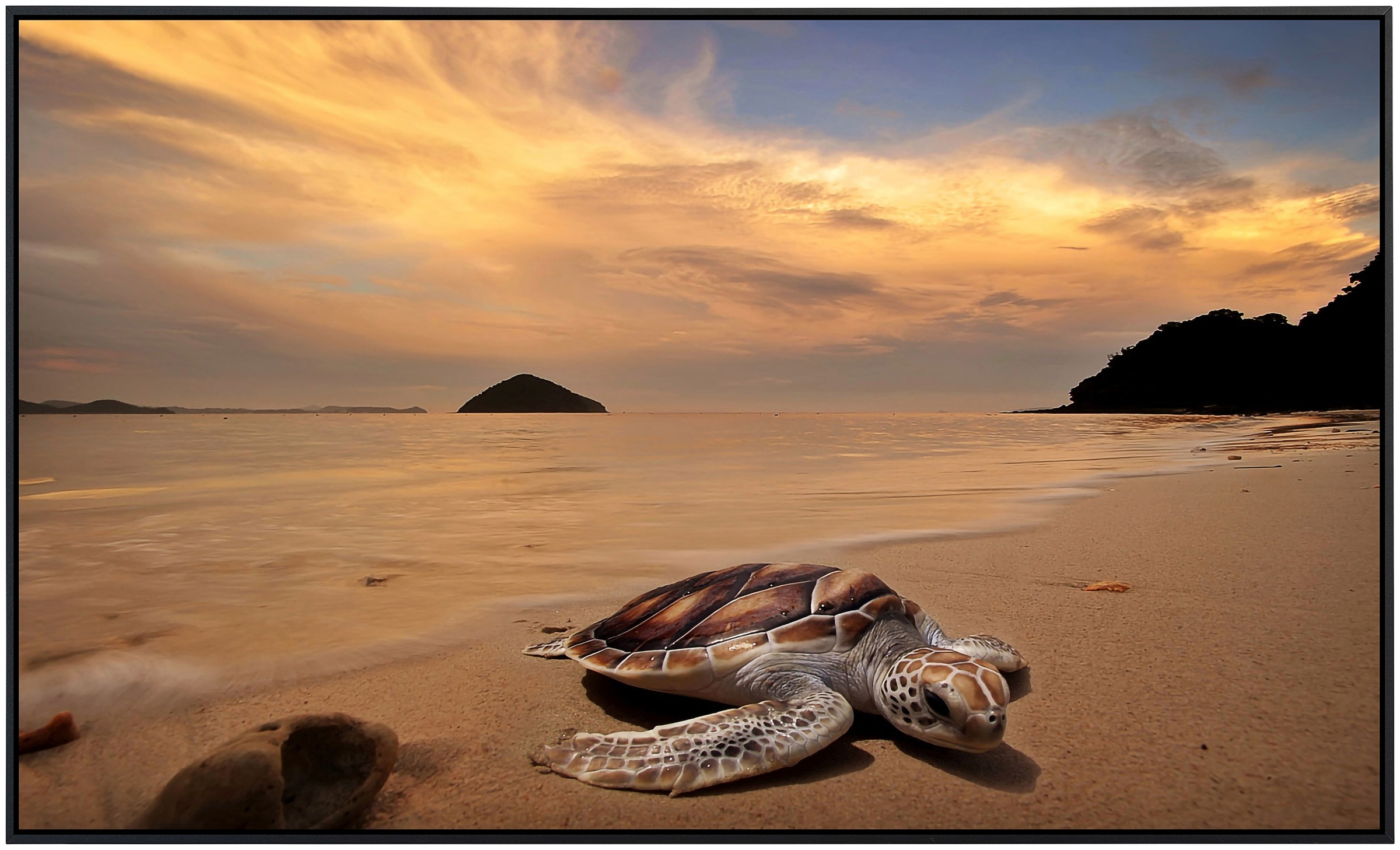 Papermoon Infrarotheizung »Schildkröte am Strand«, sehr angenehme Strahlungswärme